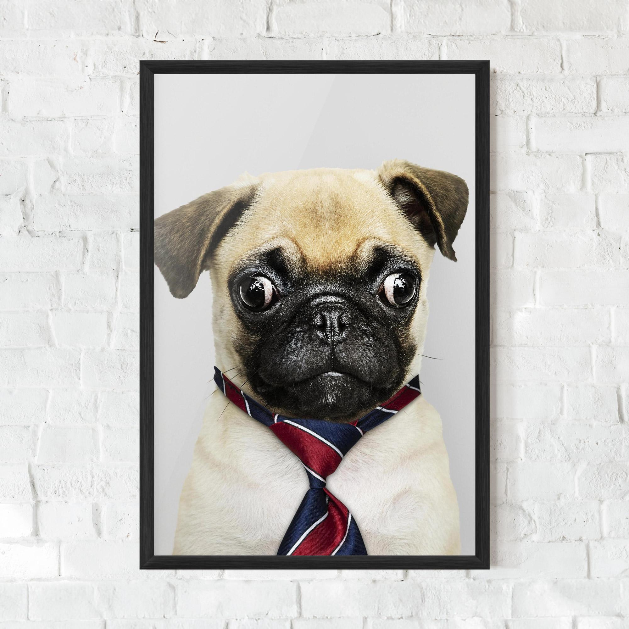 Plakat w Ramie Business Pug mockup 0