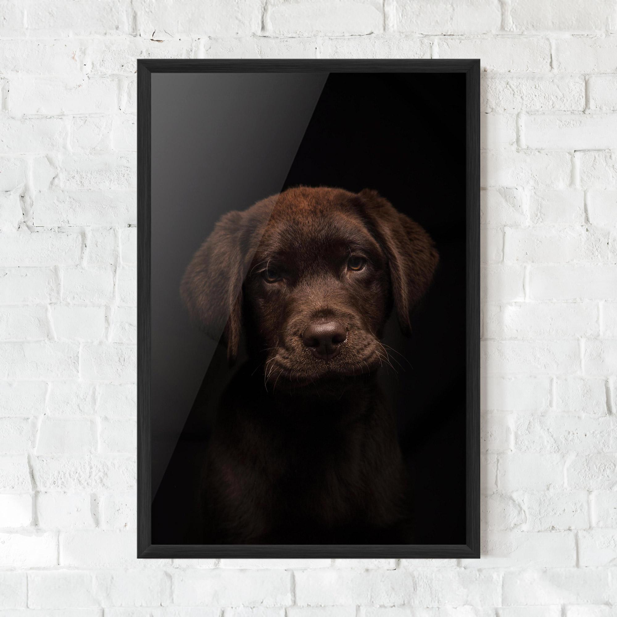 Plakat w Ramie Chocolate Labrador mockup 0