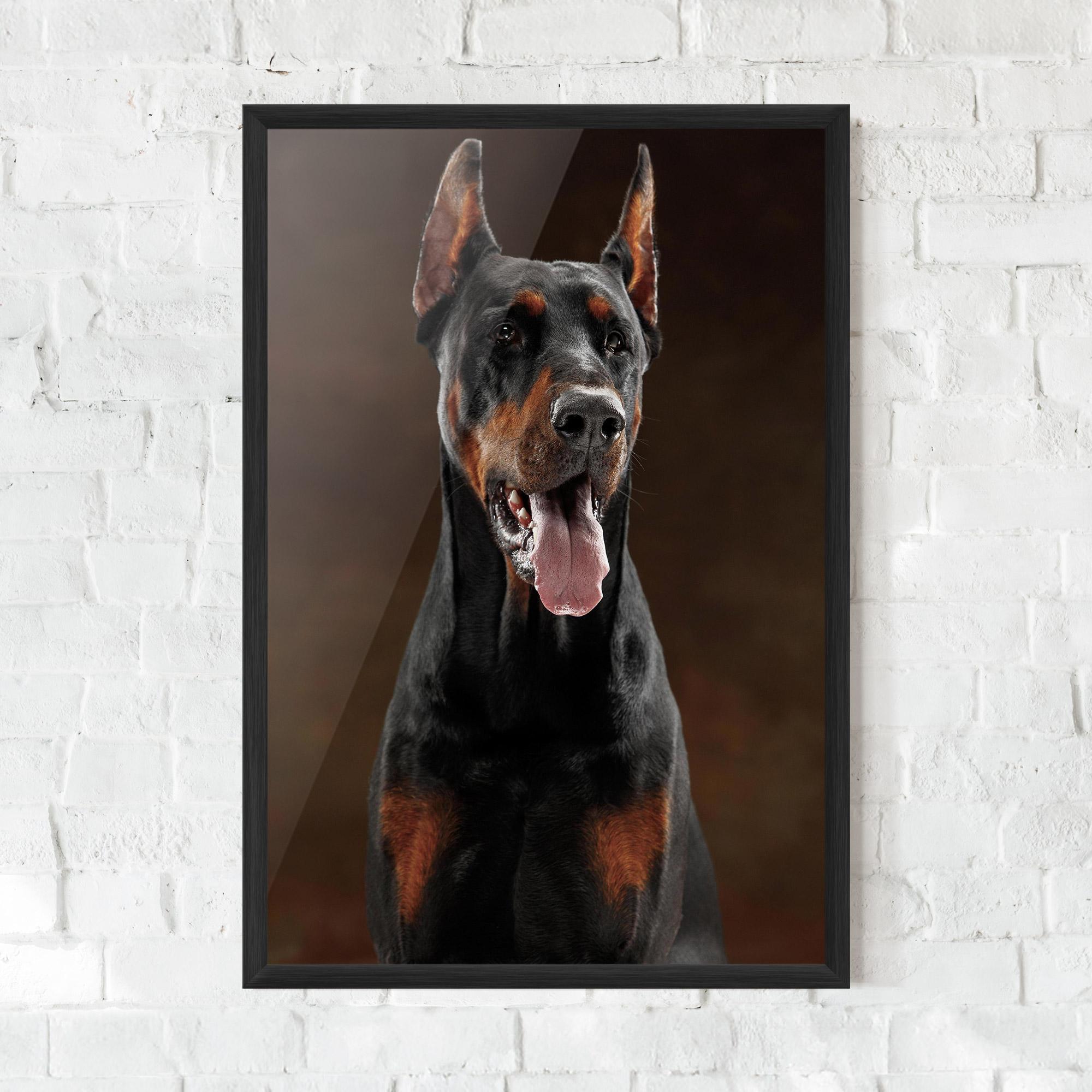 Plakat w Ramie Doberman Looking mockup 0