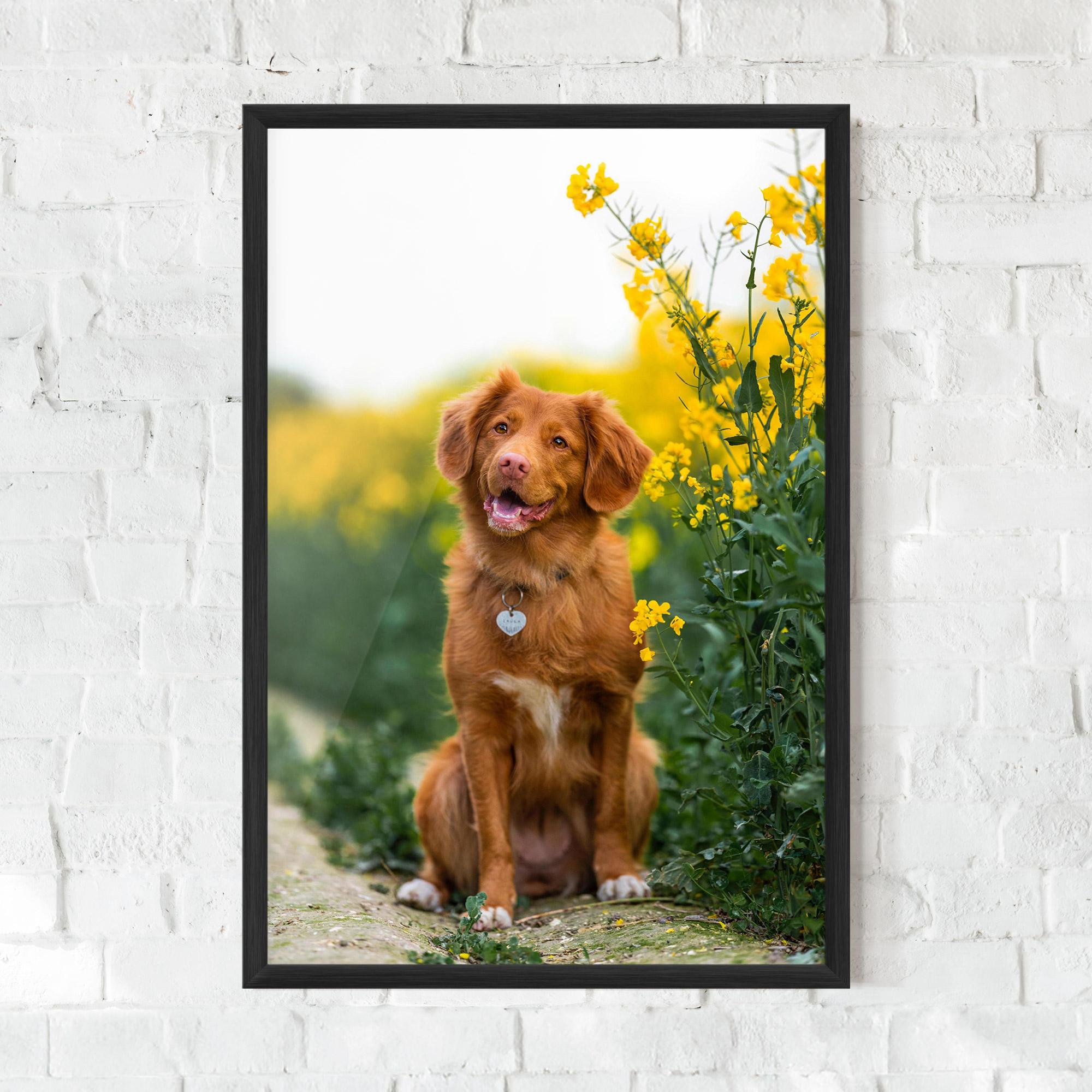 Plakat w Ramie Dog Yellow Flowers mockup 0