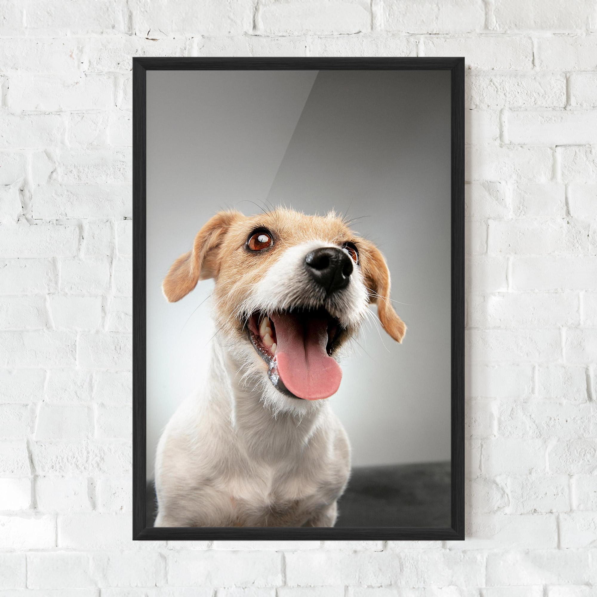 Plakat w Ramie Jack Russell Terrier mockup 0