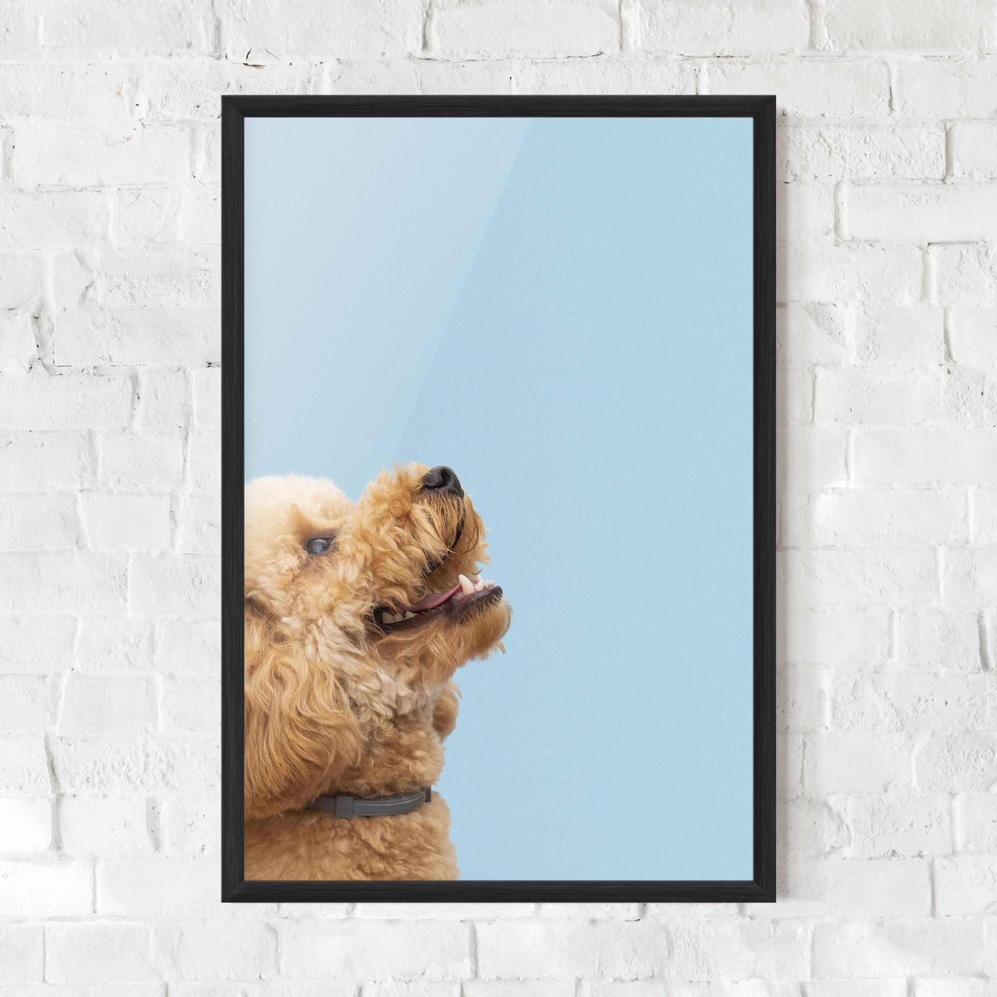 Plakat w Ramie Yellow Cute Dog mockup 0