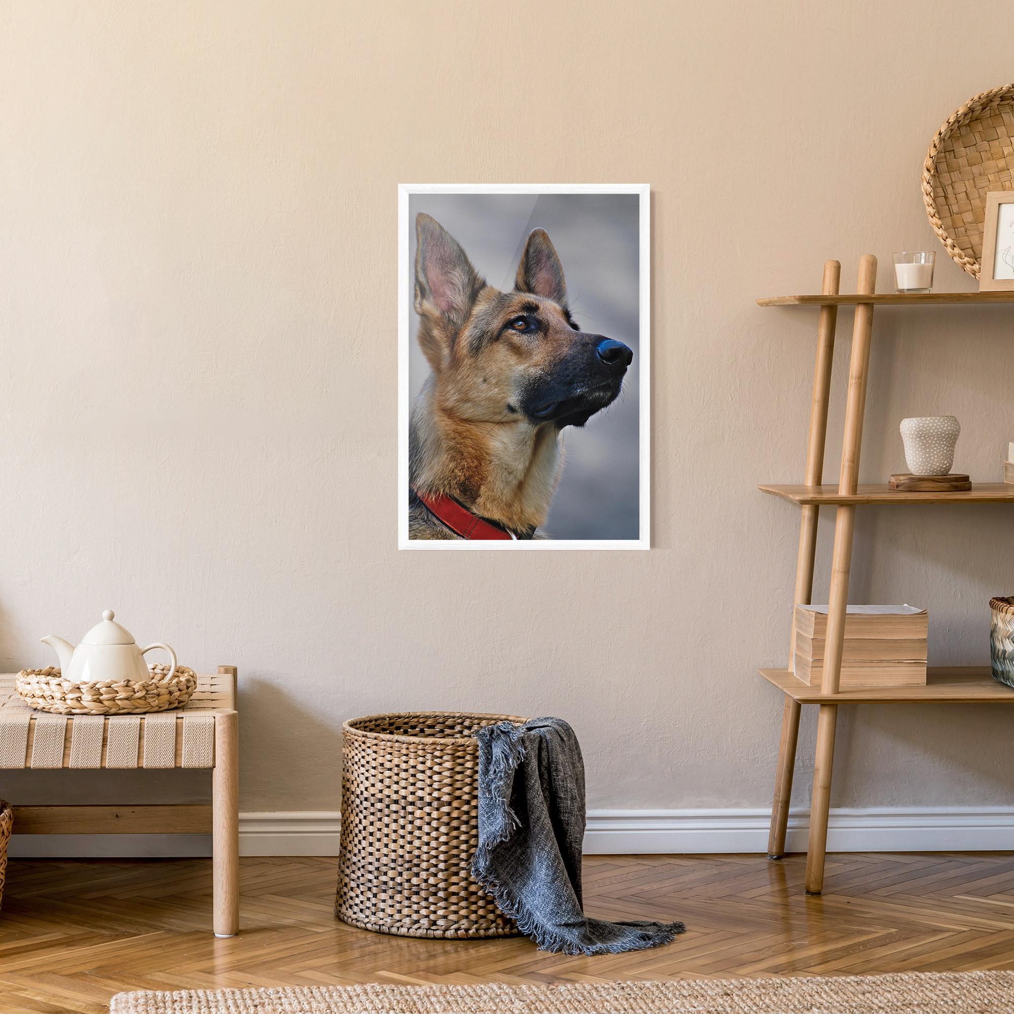 Plakat w Ramie German Shepherd mockup 9