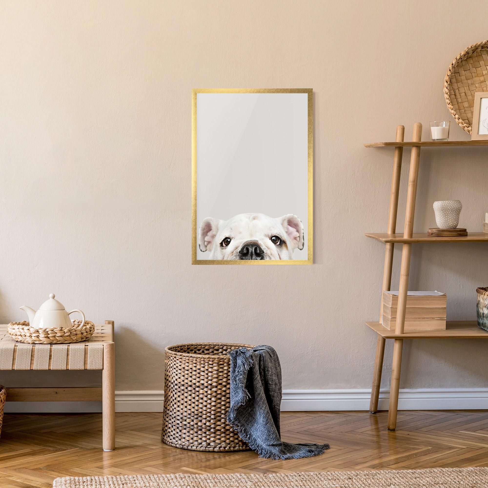 Plakat w Ramie Bulldog Eyes mockup 9