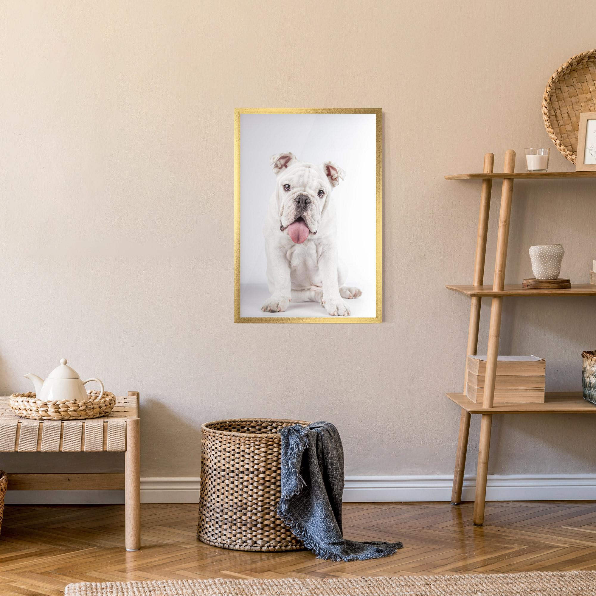 Plakat w Ramie English Bulldog mockup 9