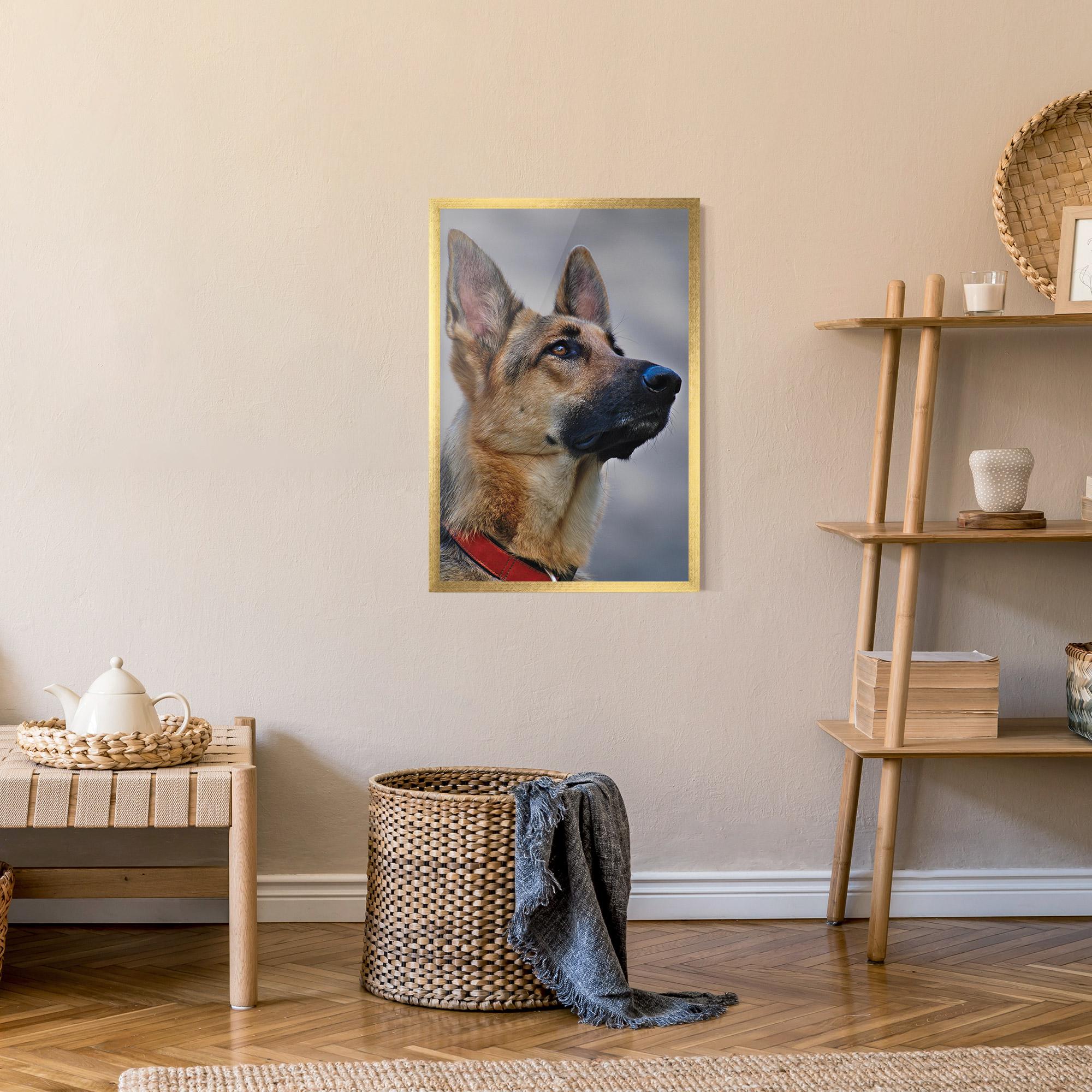 Plakat w Ramie German Shepherd mockup 9