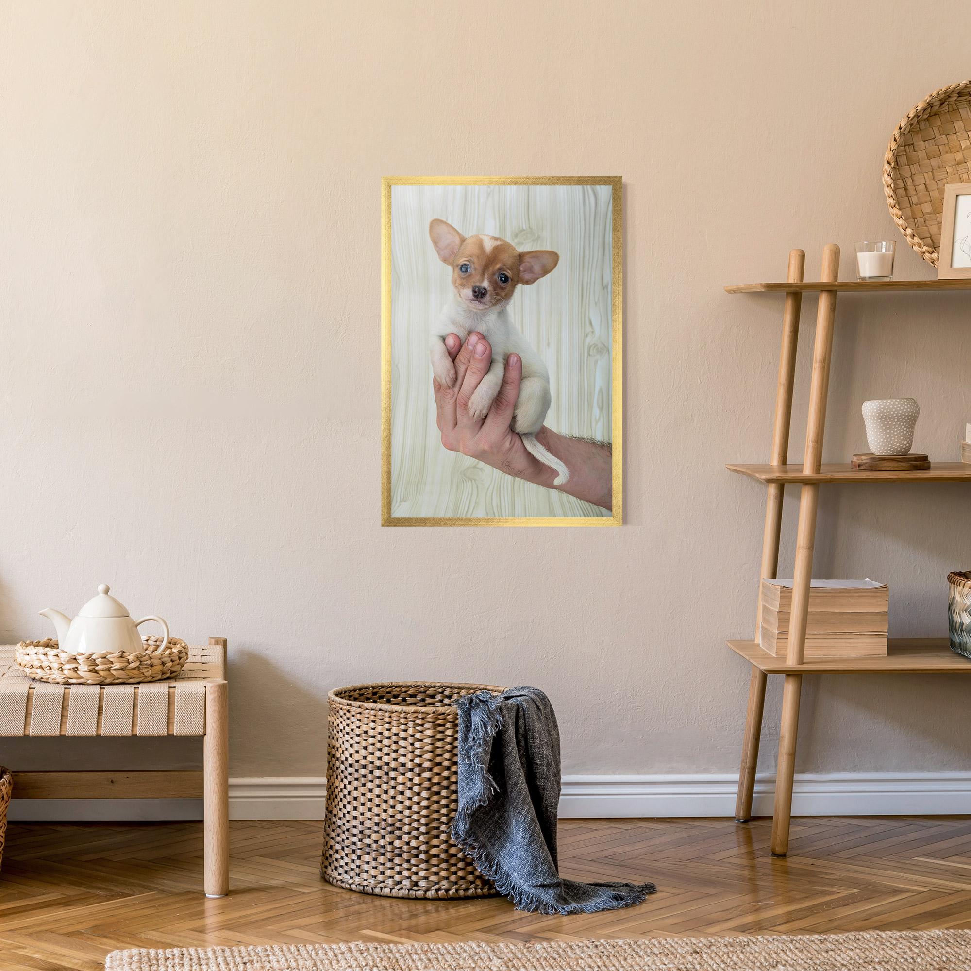 Plakat w Ramie Holding Chihuahua mockup 9