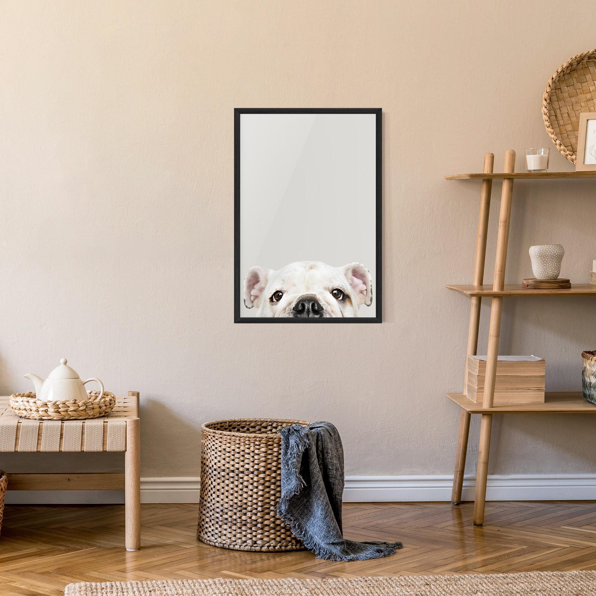 Plakat w Ramie Bulldog Eyes mockup 9