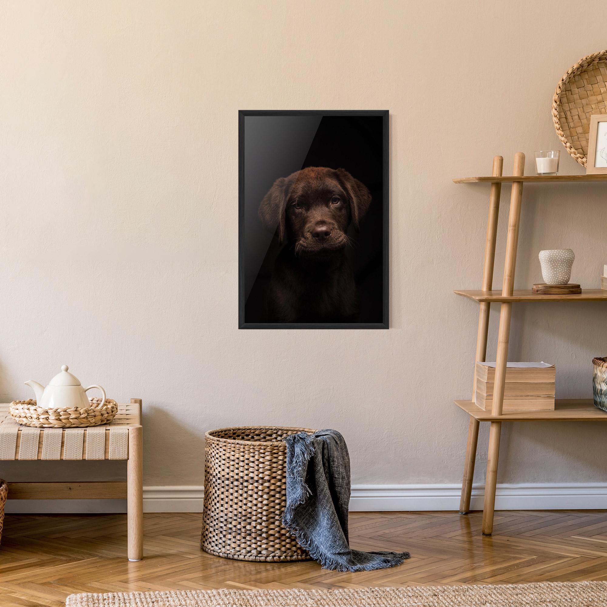 Plakat w Ramie Chocolate Labrador mockup 9