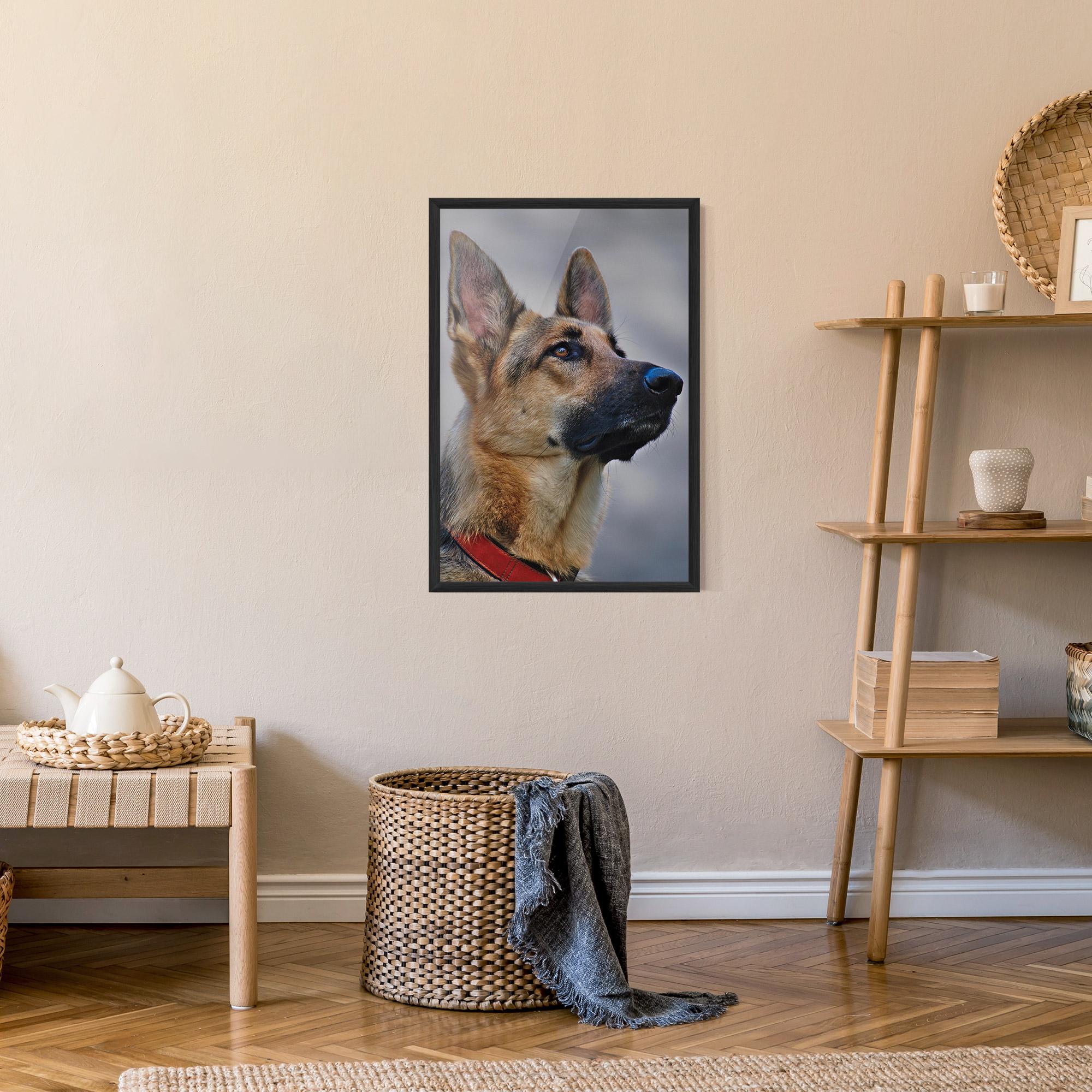 Plakat w Ramie German Shepherd mockup 9