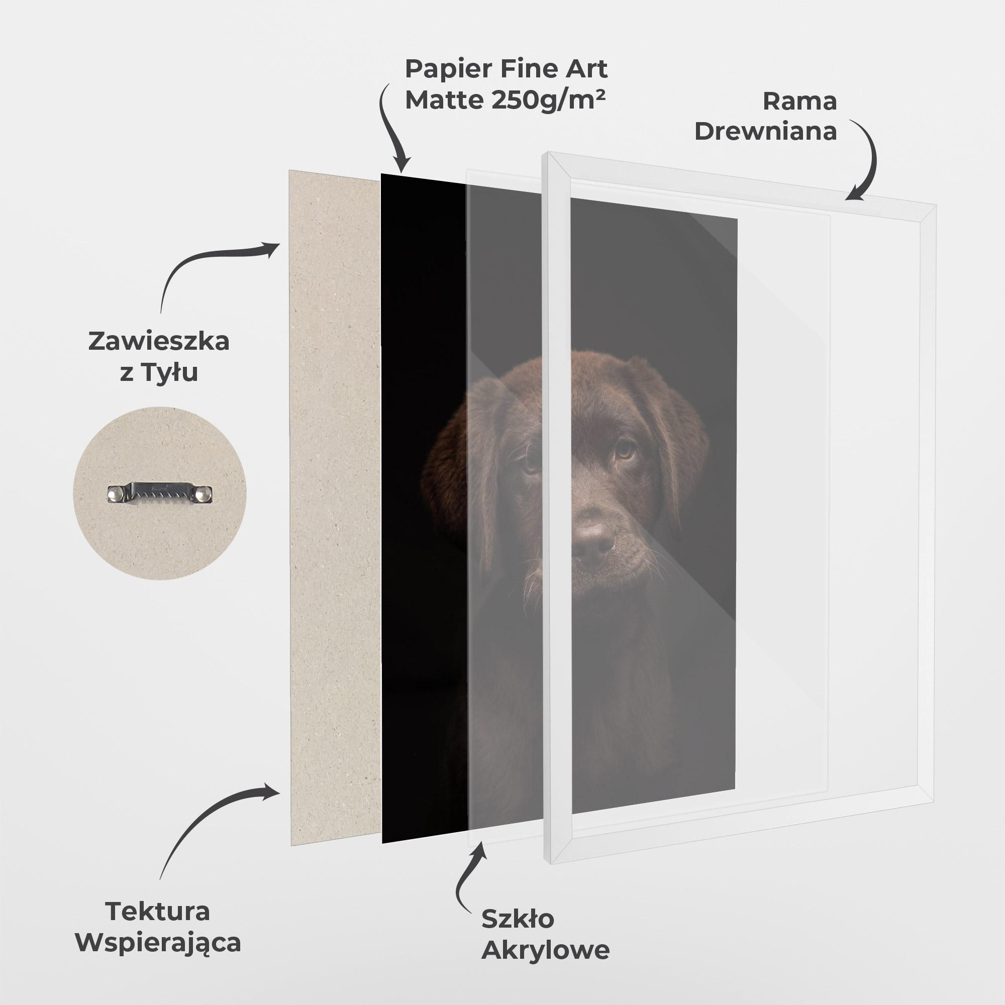 Plakat w Ramie Chocolate Labrador mockup 1