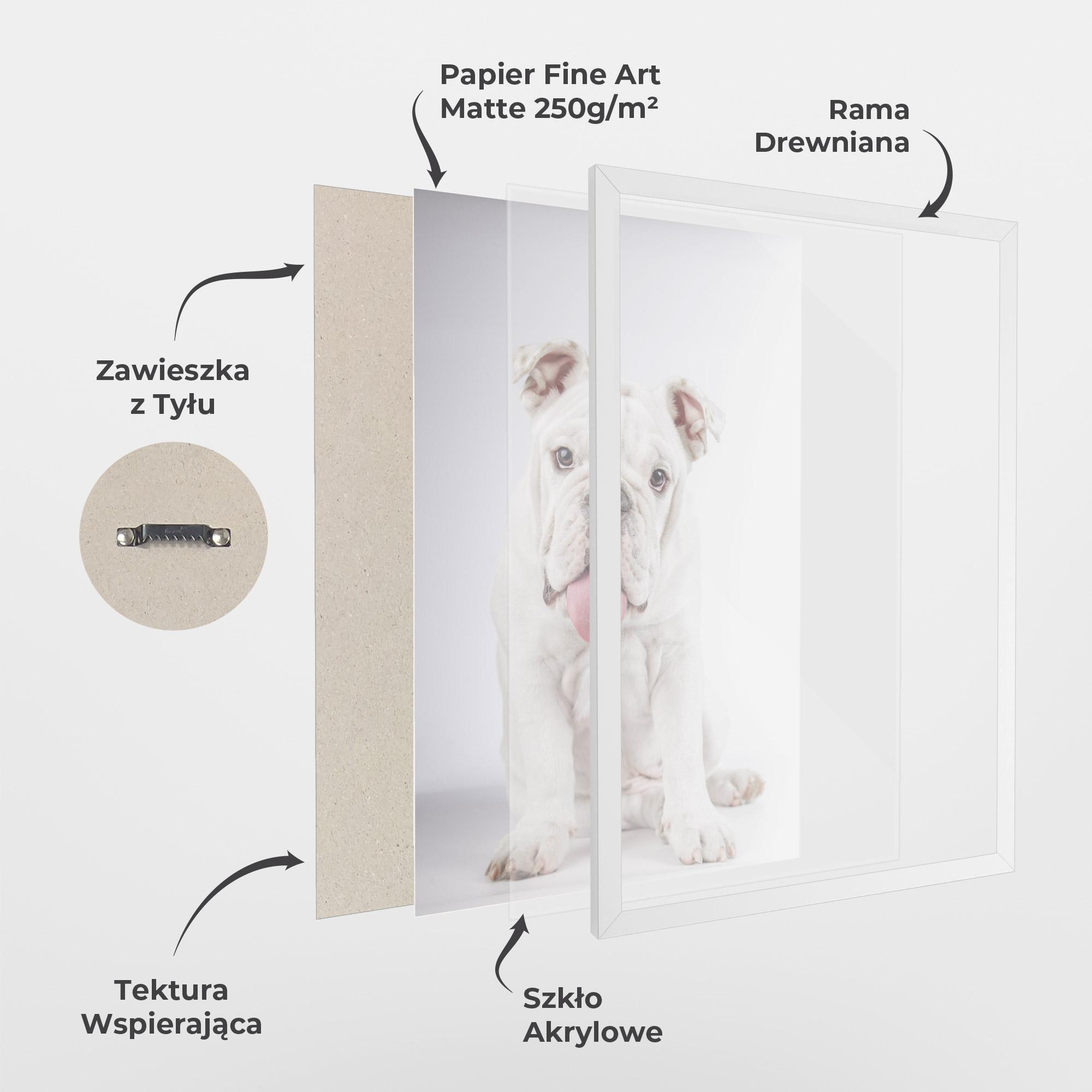 Plakat w Ramie English Bulldog mockup 1