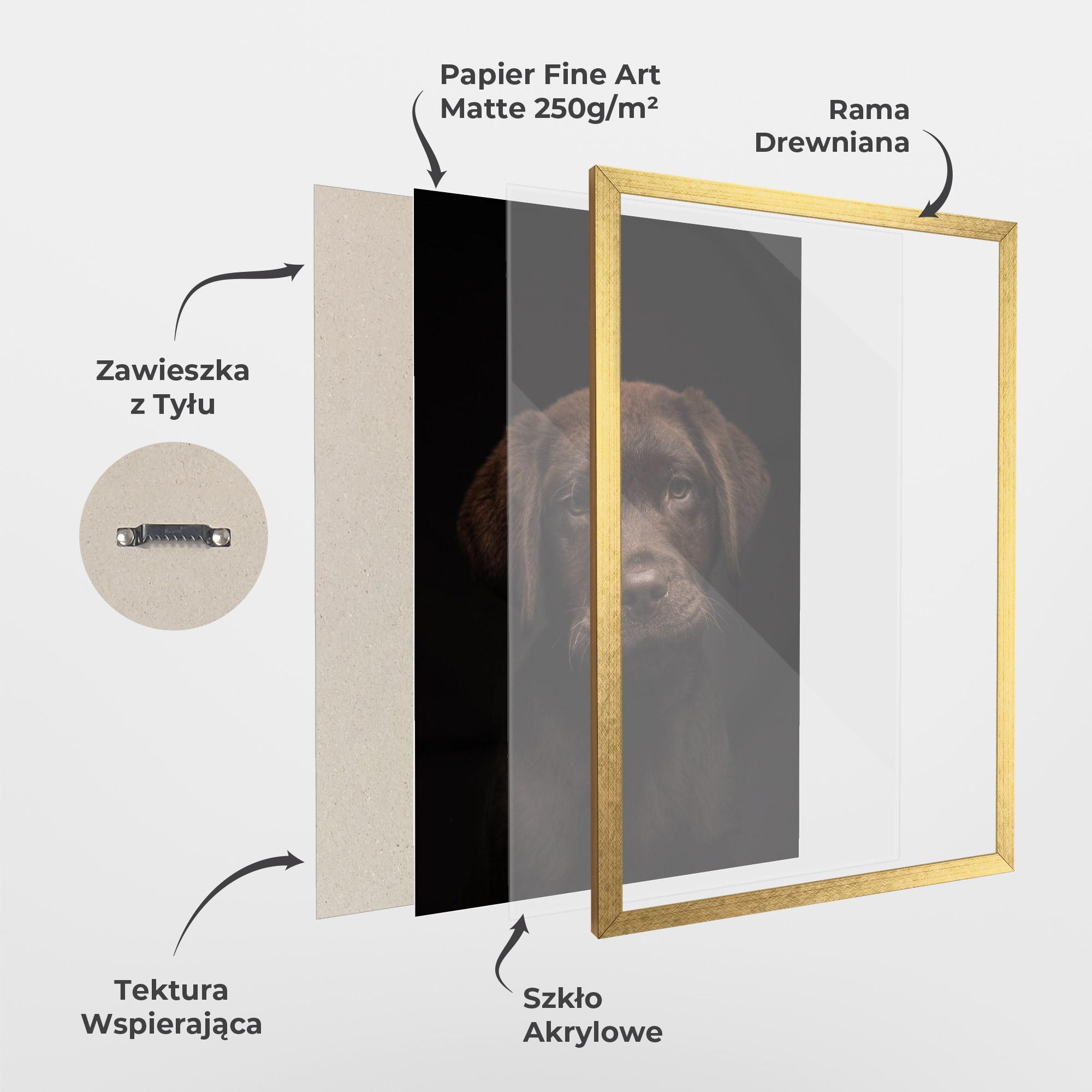 Plakat w Ramie Chocolate Labrador mockup 1