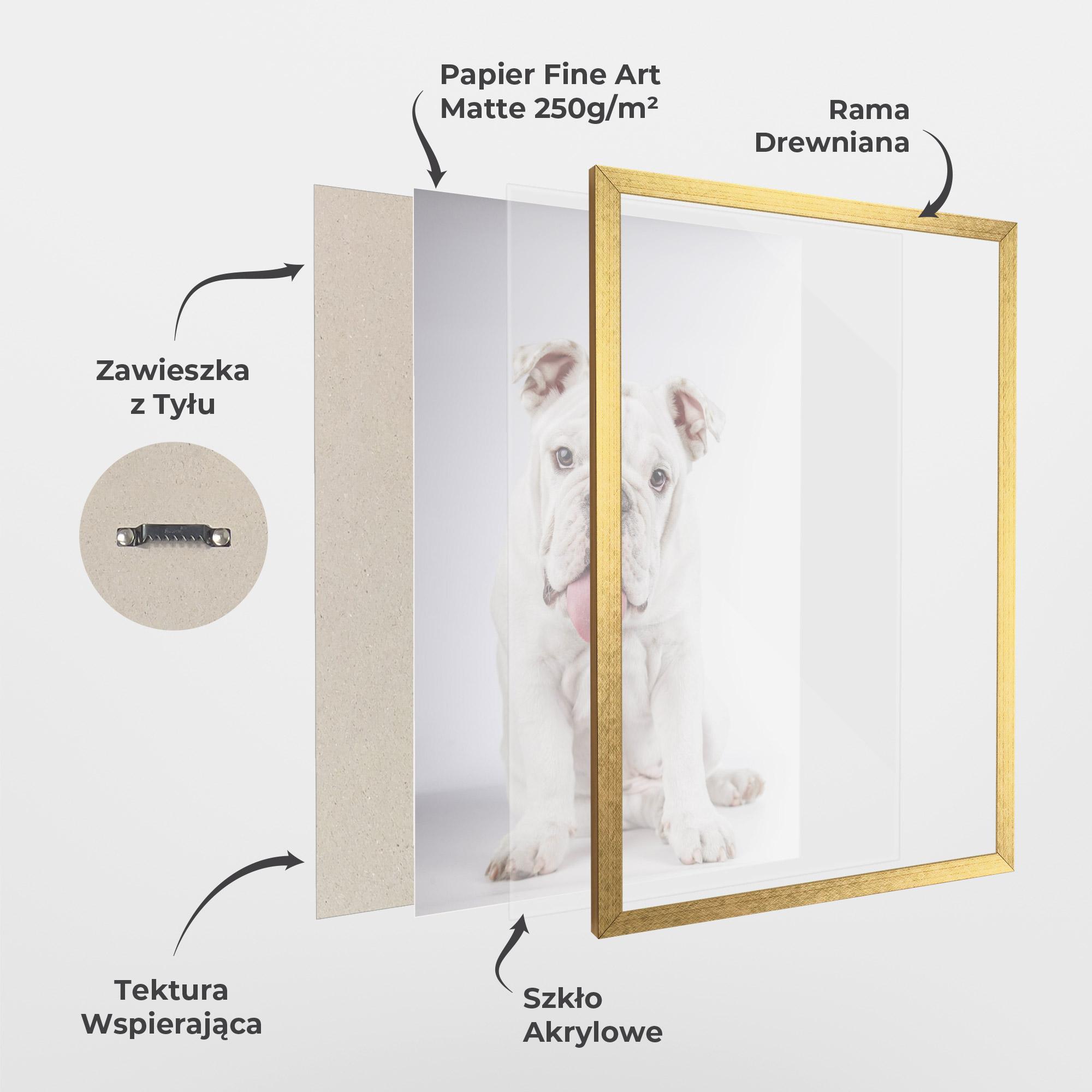 Plakat w Ramie English Bulldog mockup 1