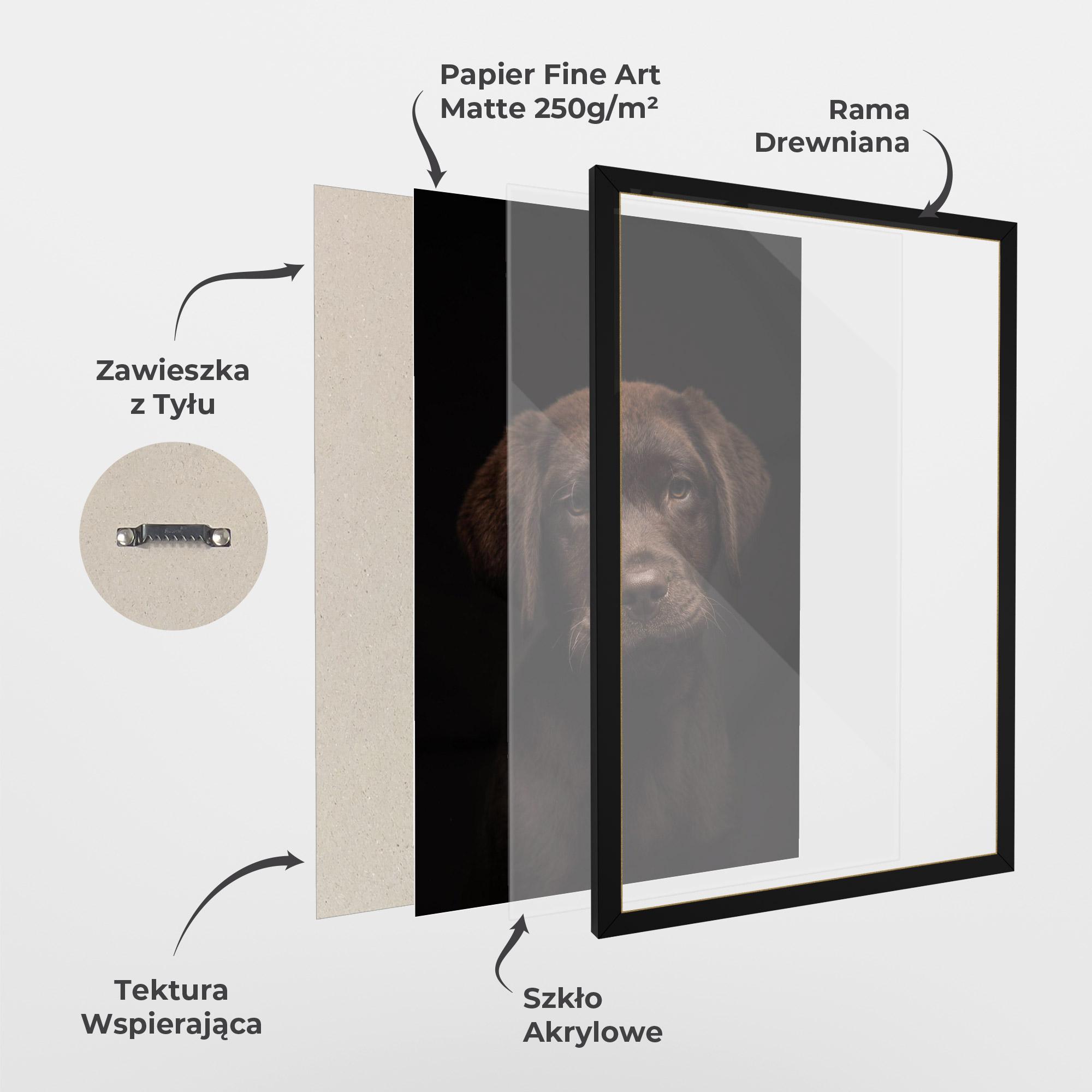 Plakat w Ramie Chocolate Labrador mockup 1