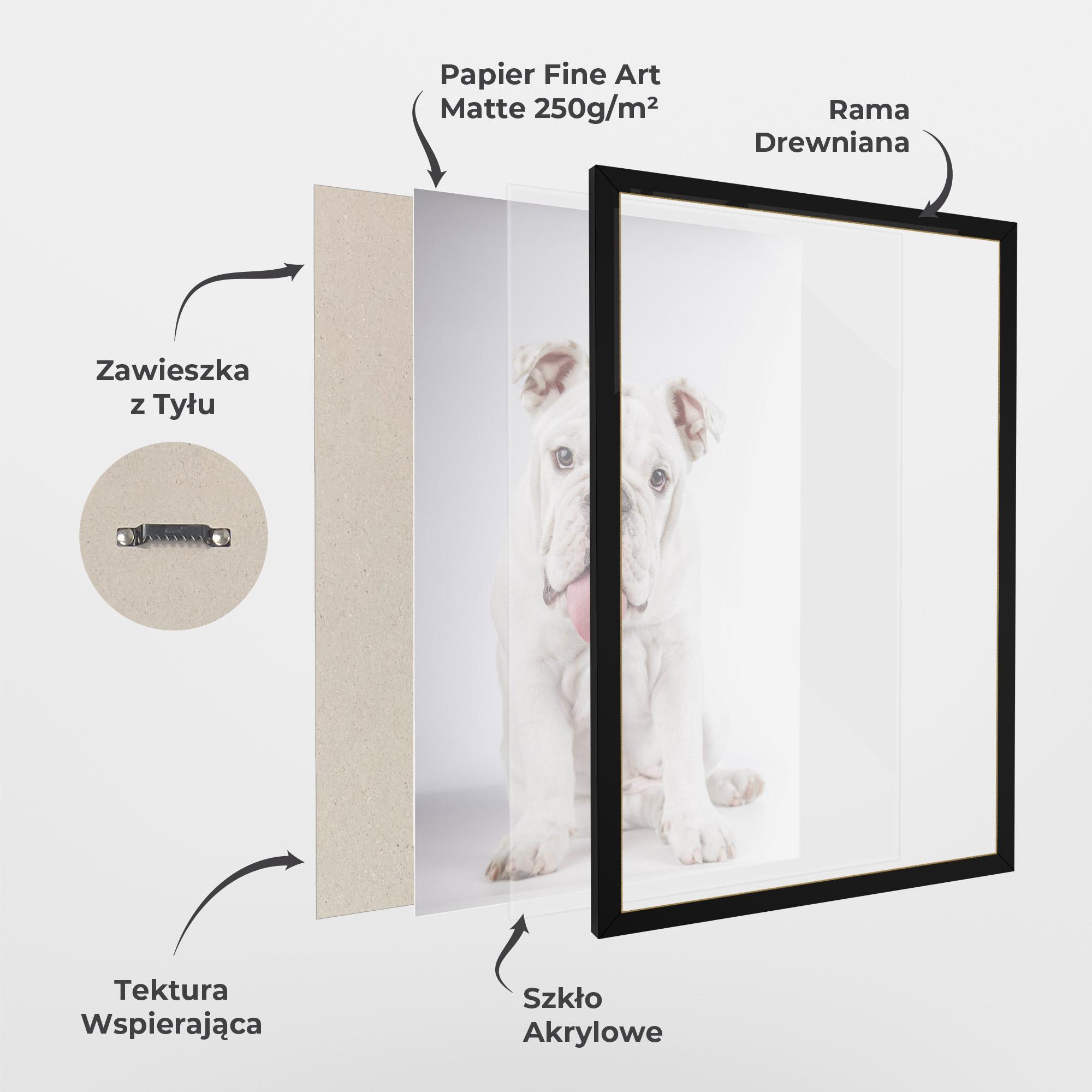 Plakat w Ramie English Bulldog mockup 1