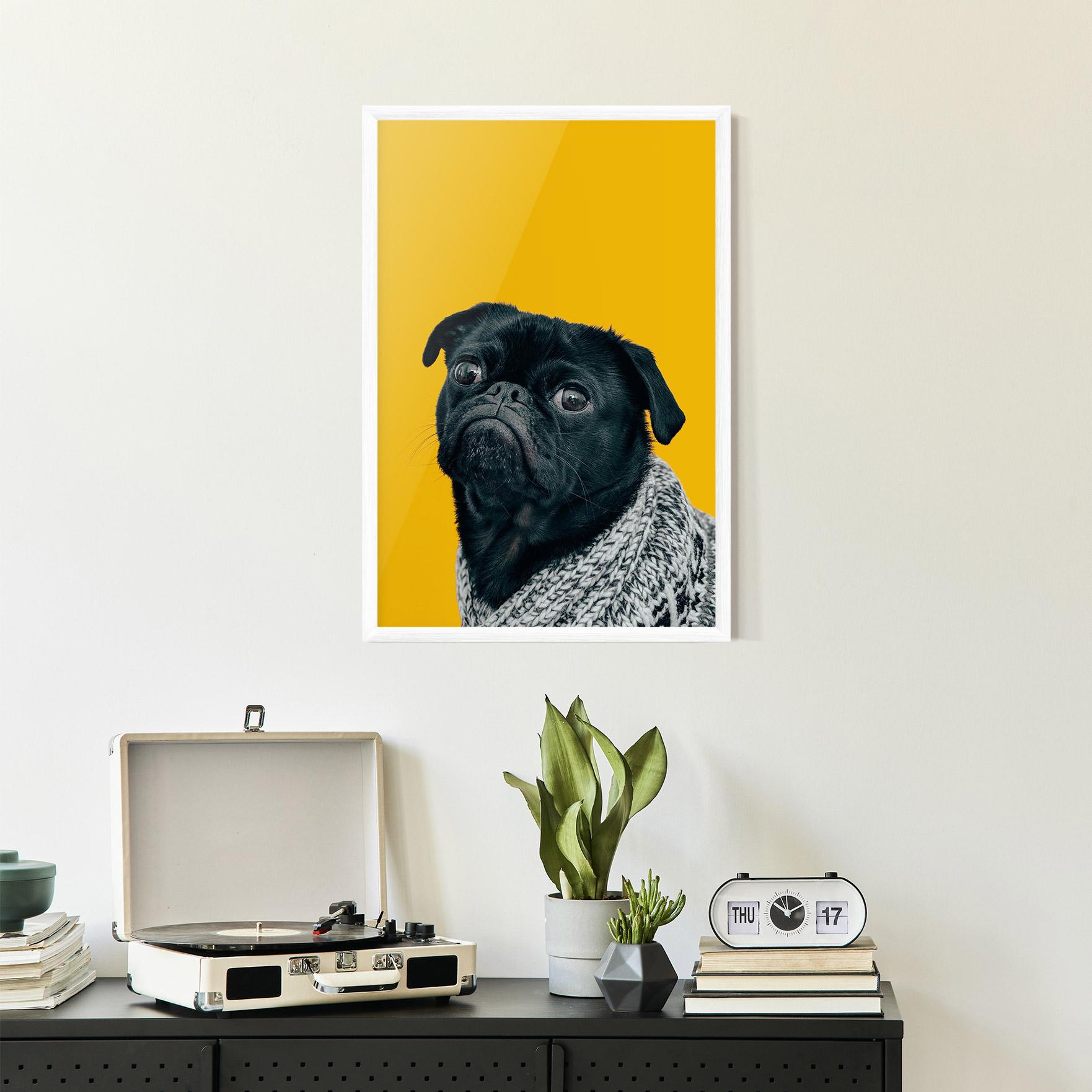 Plakat w Ramie Black Pug mockup 2