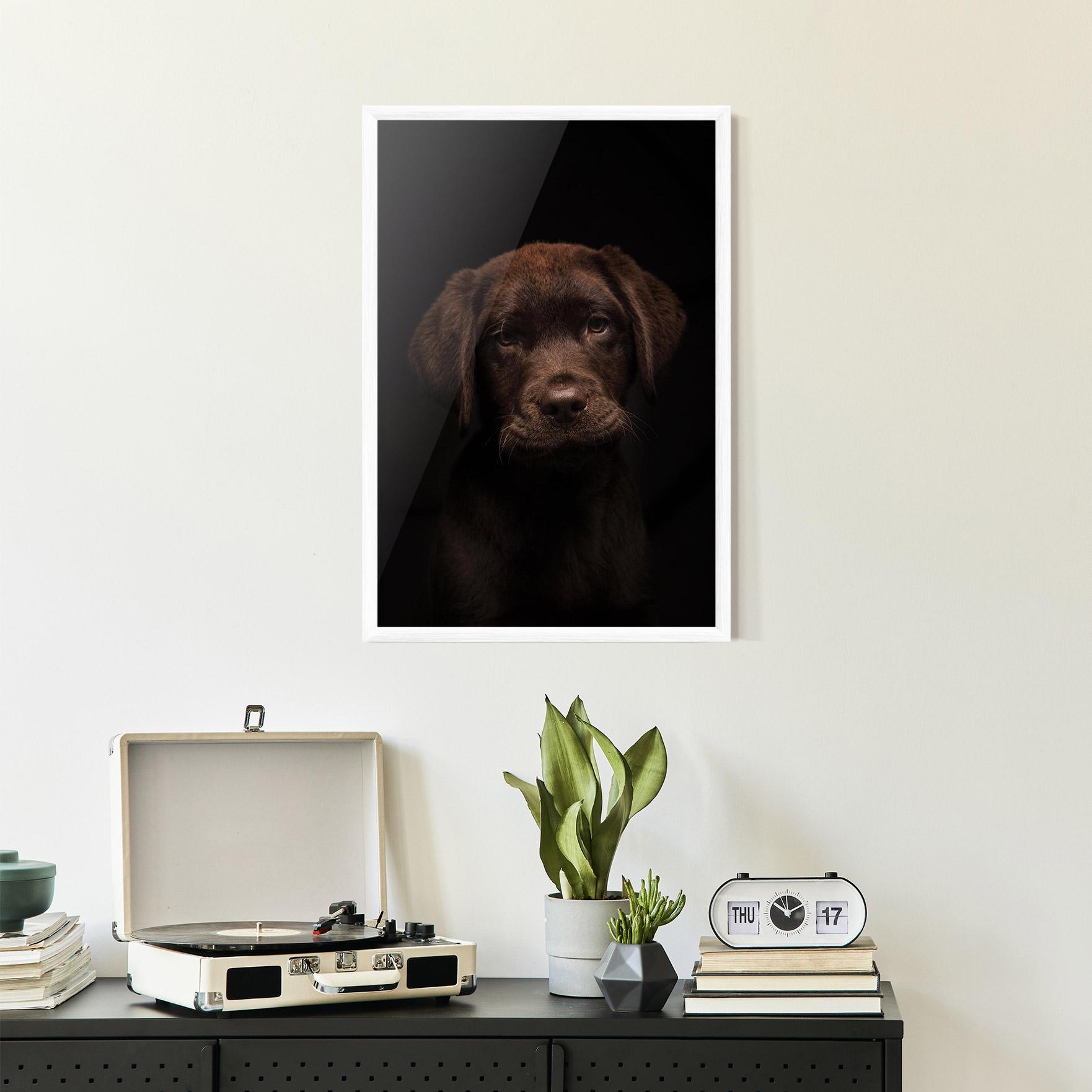 Plakat w Ramie Chocolate Labrador mockup 2