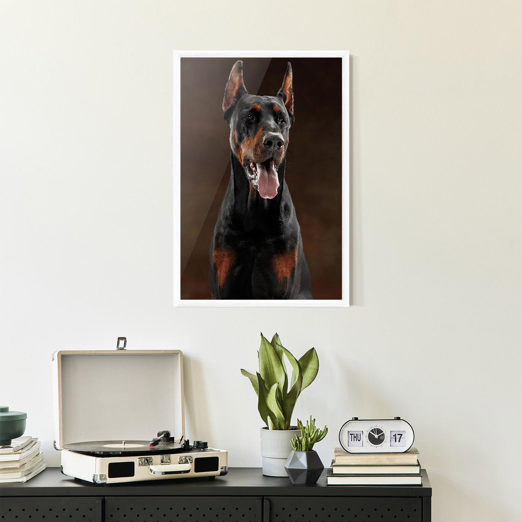Plakat w Ramie Doberman Looking mockup 2