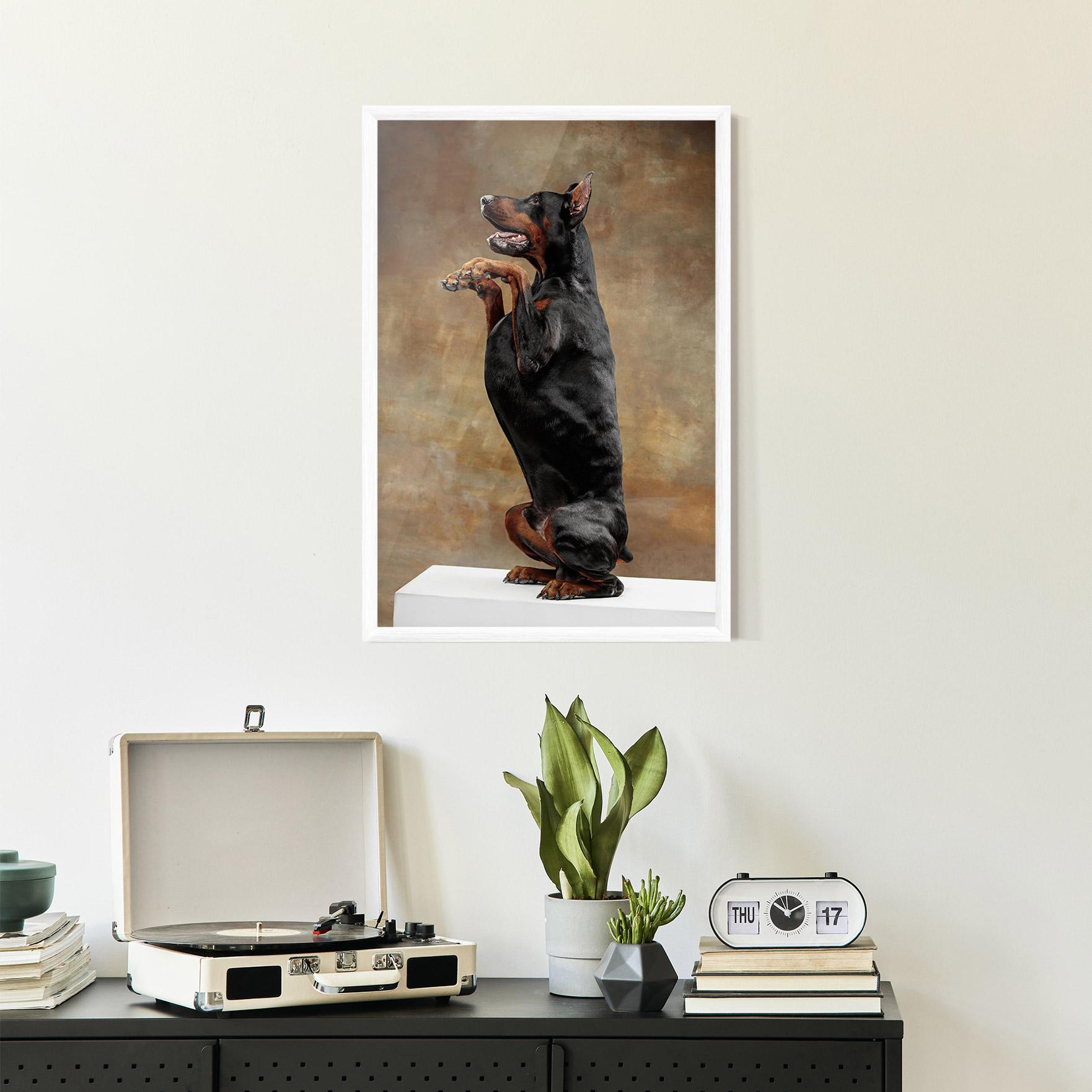 Plakat w Ramie Doberman Standing mockup 2