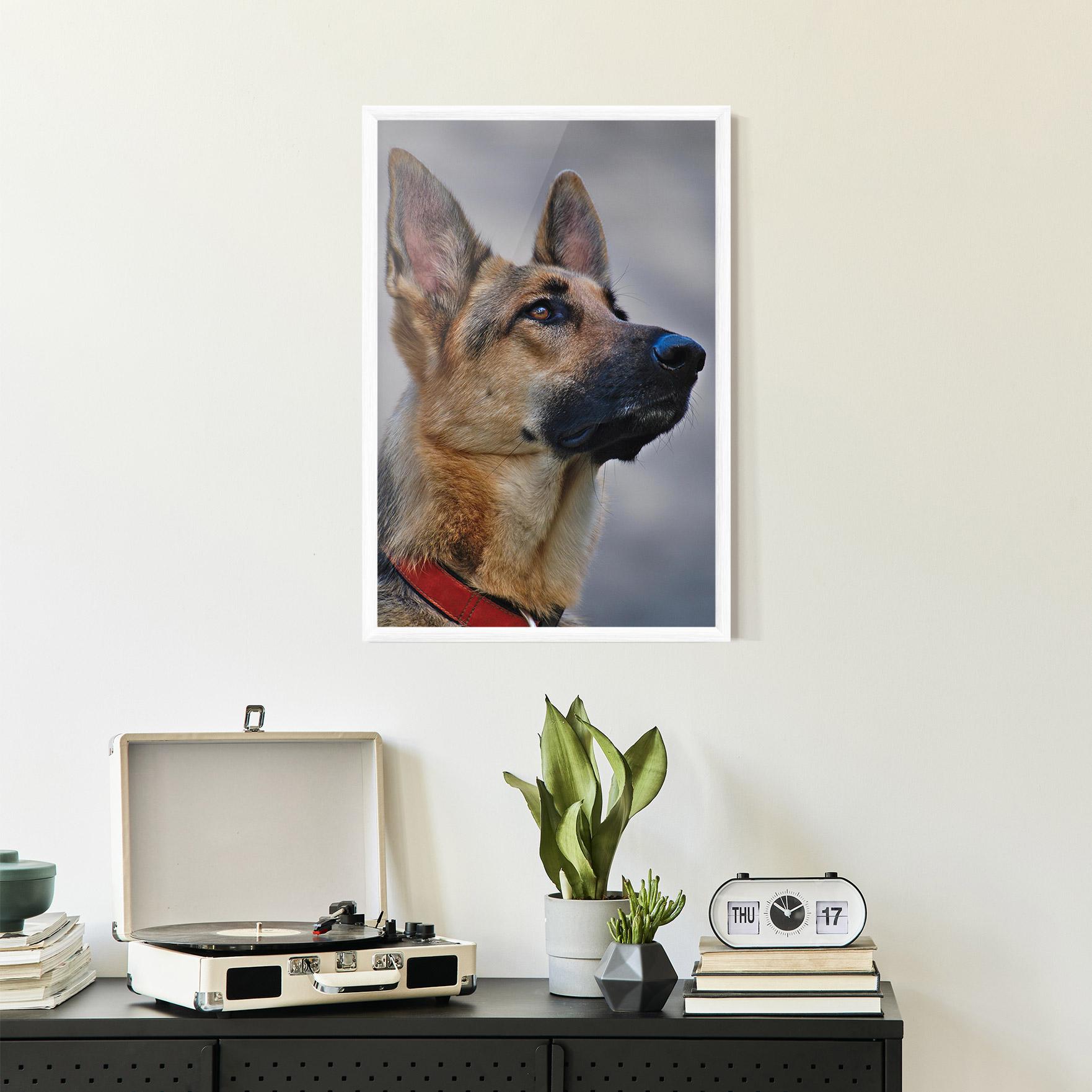 Plakat w Ramie German Shepherd mockup 2