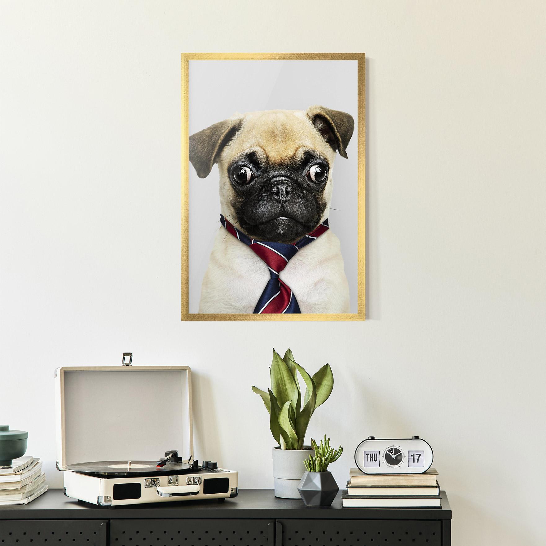 Plakat w Ramie Business Pug mockup 2