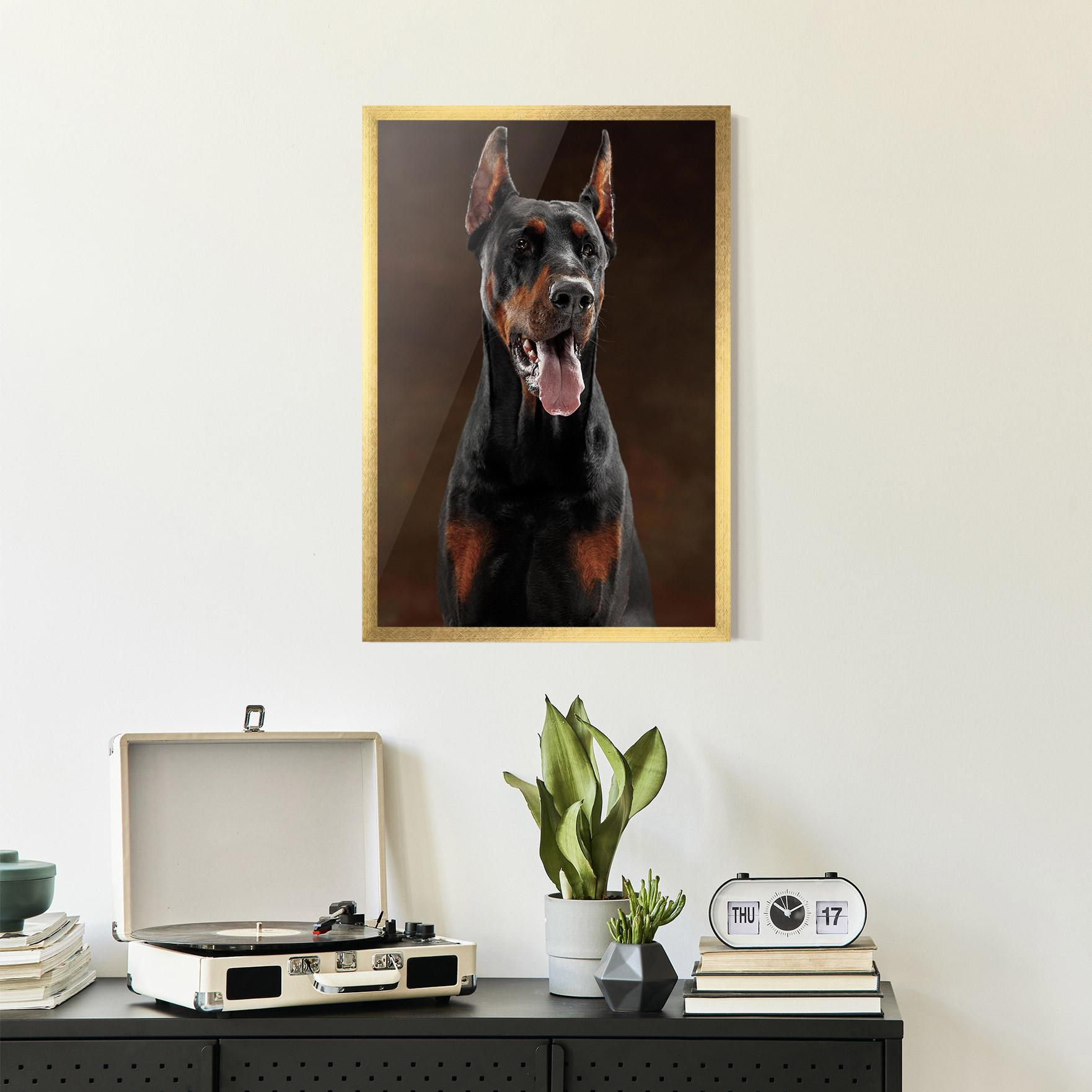 Plakat w Ramie Doberman Looking mockup 2