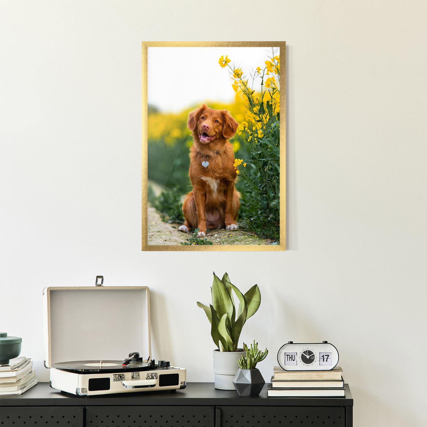 Plakat w Ramie Dog Yellow Flowers mockup 2