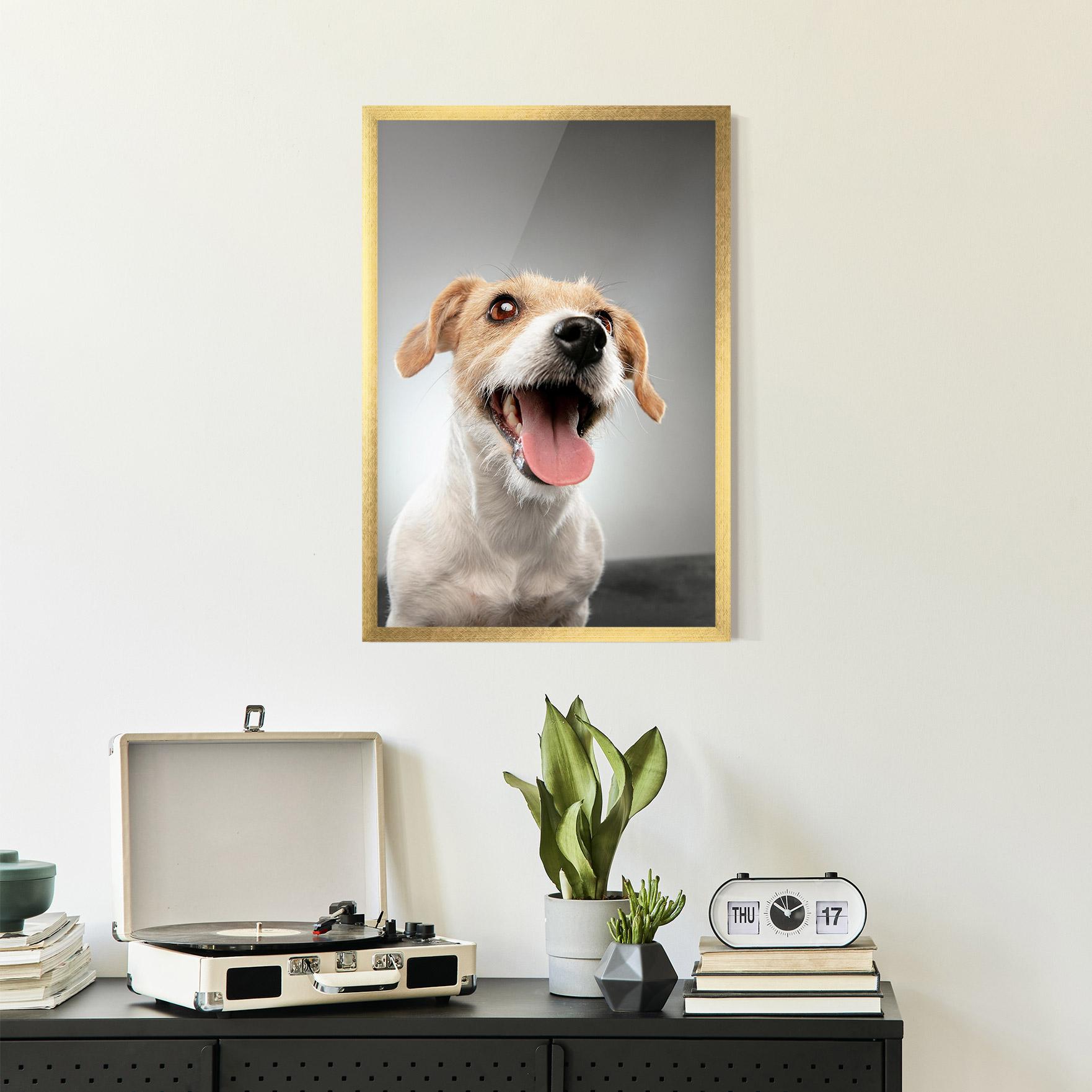 Plakat w Ramie Jack Russell Terrier mockup 2