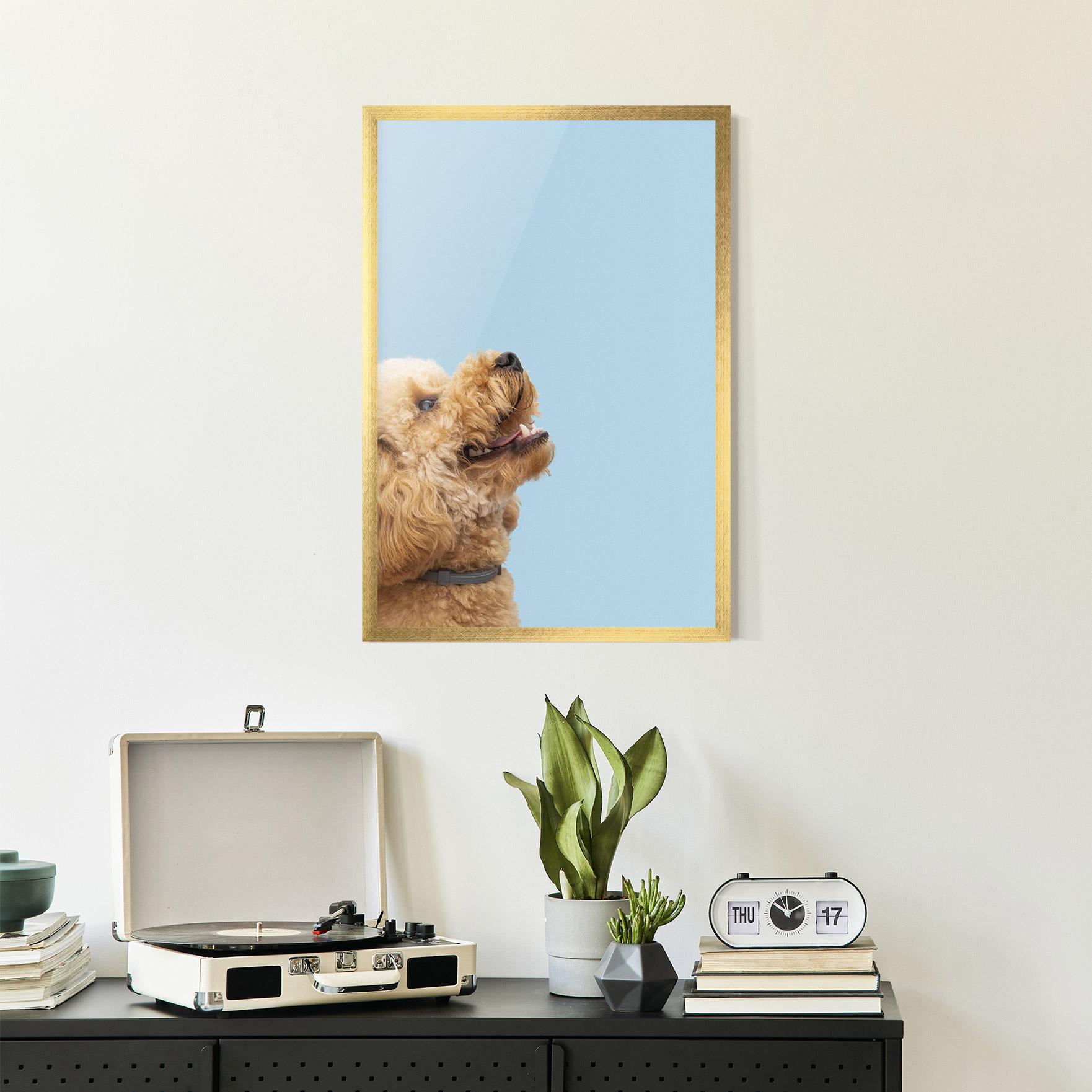 Plakat w Ramie Yellow Cute Dog mockup 2