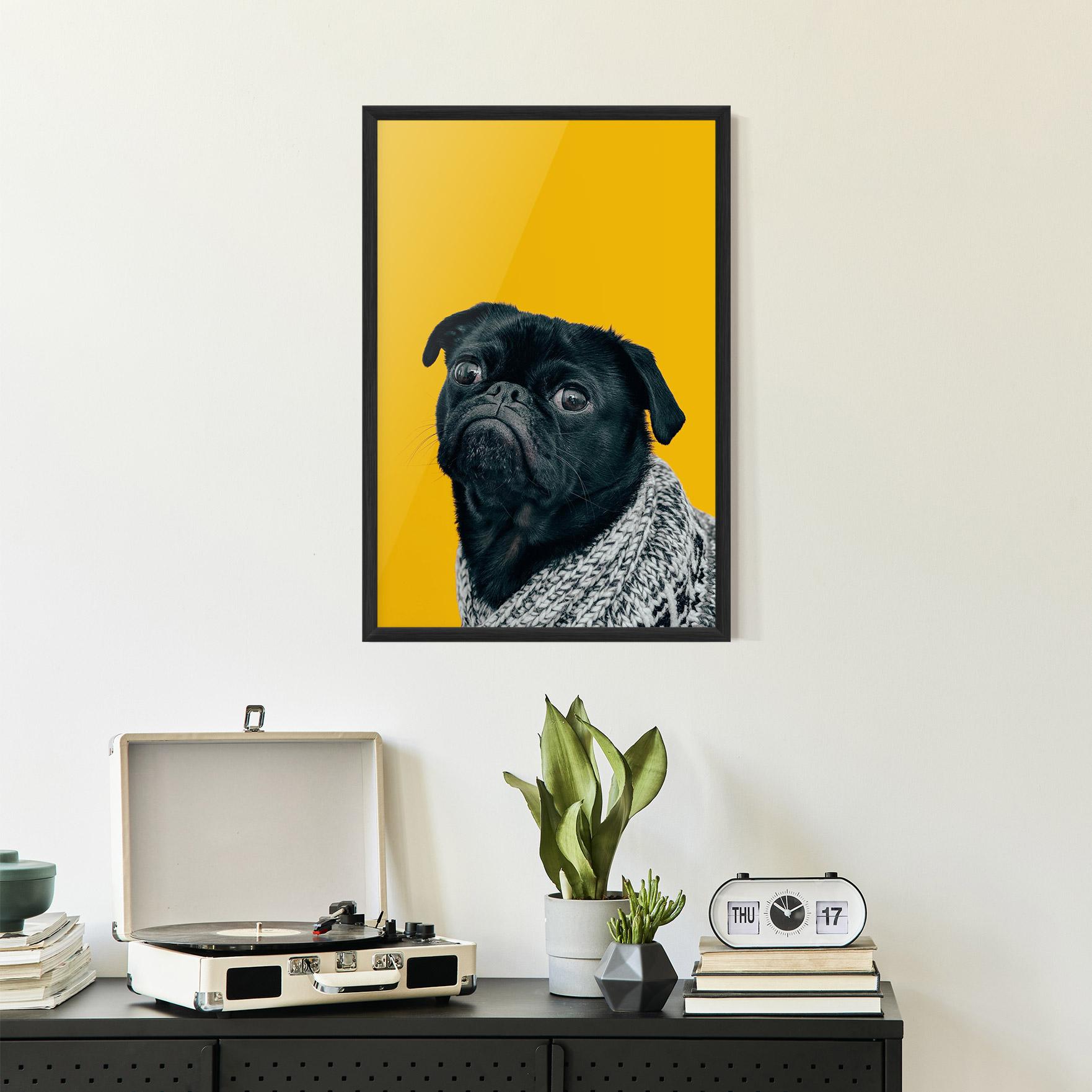 Plakat w Ramie Black Pug mockup 2