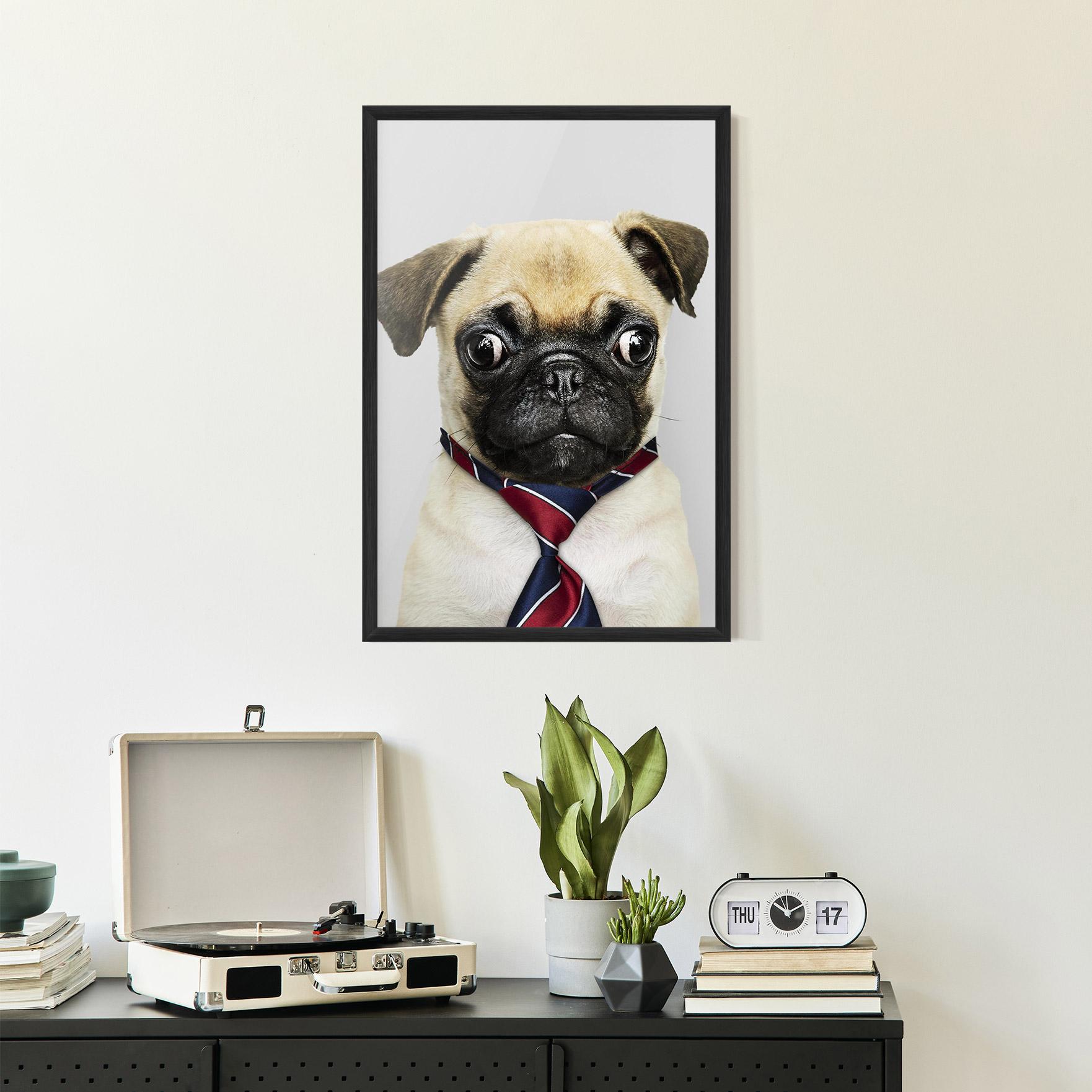 Plakat w Ramie Business Pug mockup 2
