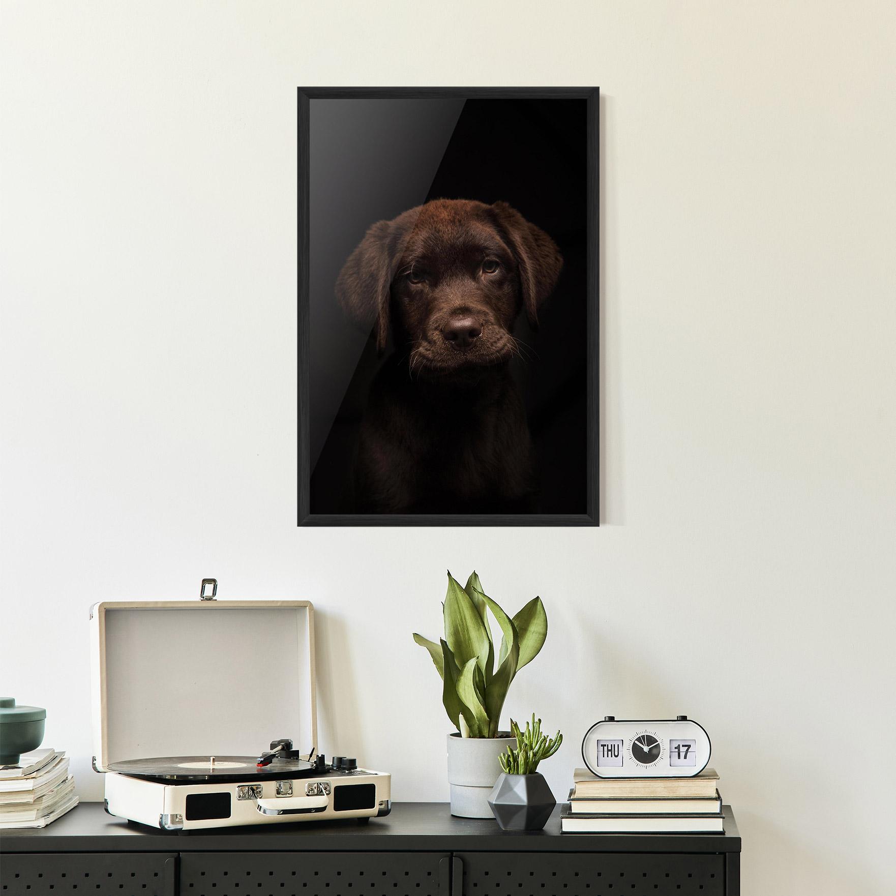 Plakat w Ramie Chocolate Labrador mockup 2
