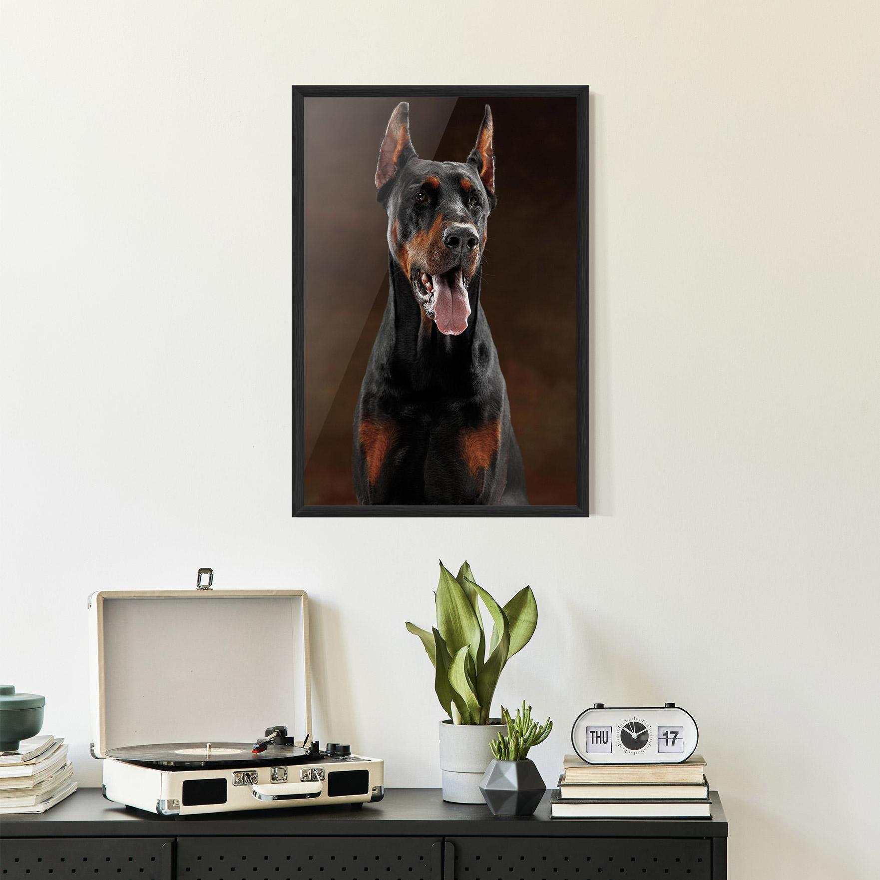 Plakat w Ramie Doberman Looking mockup 2