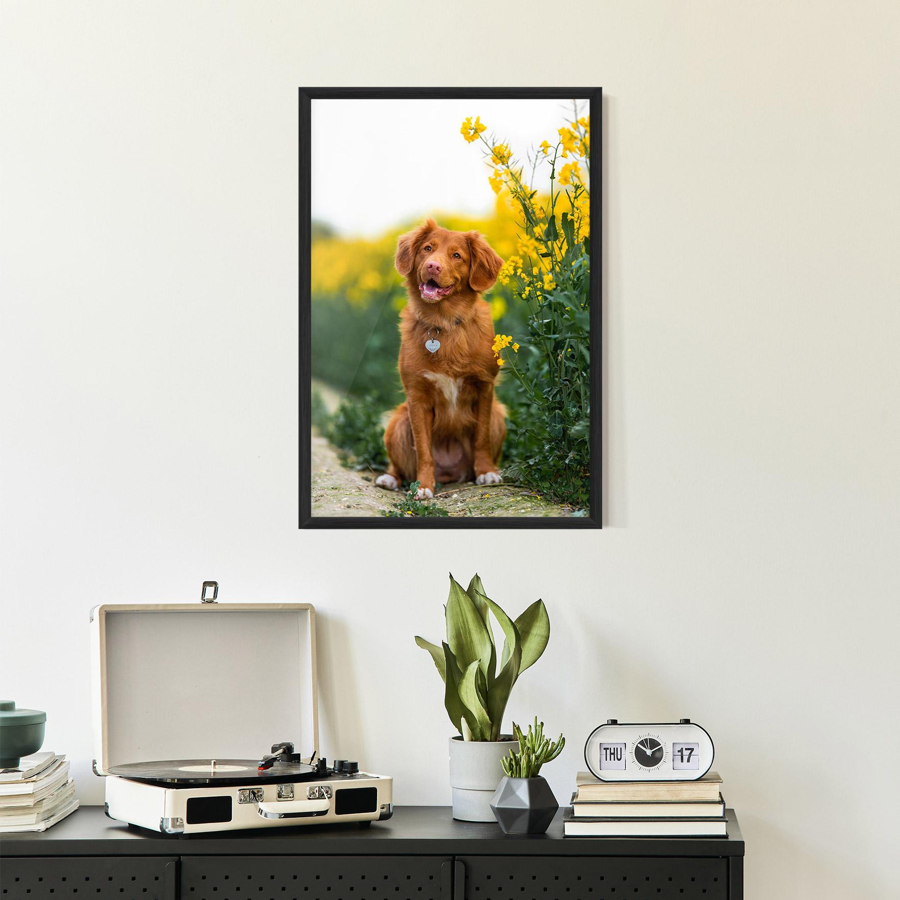 Plakat w Ramie Dog Yellow Flowers mockup 2
