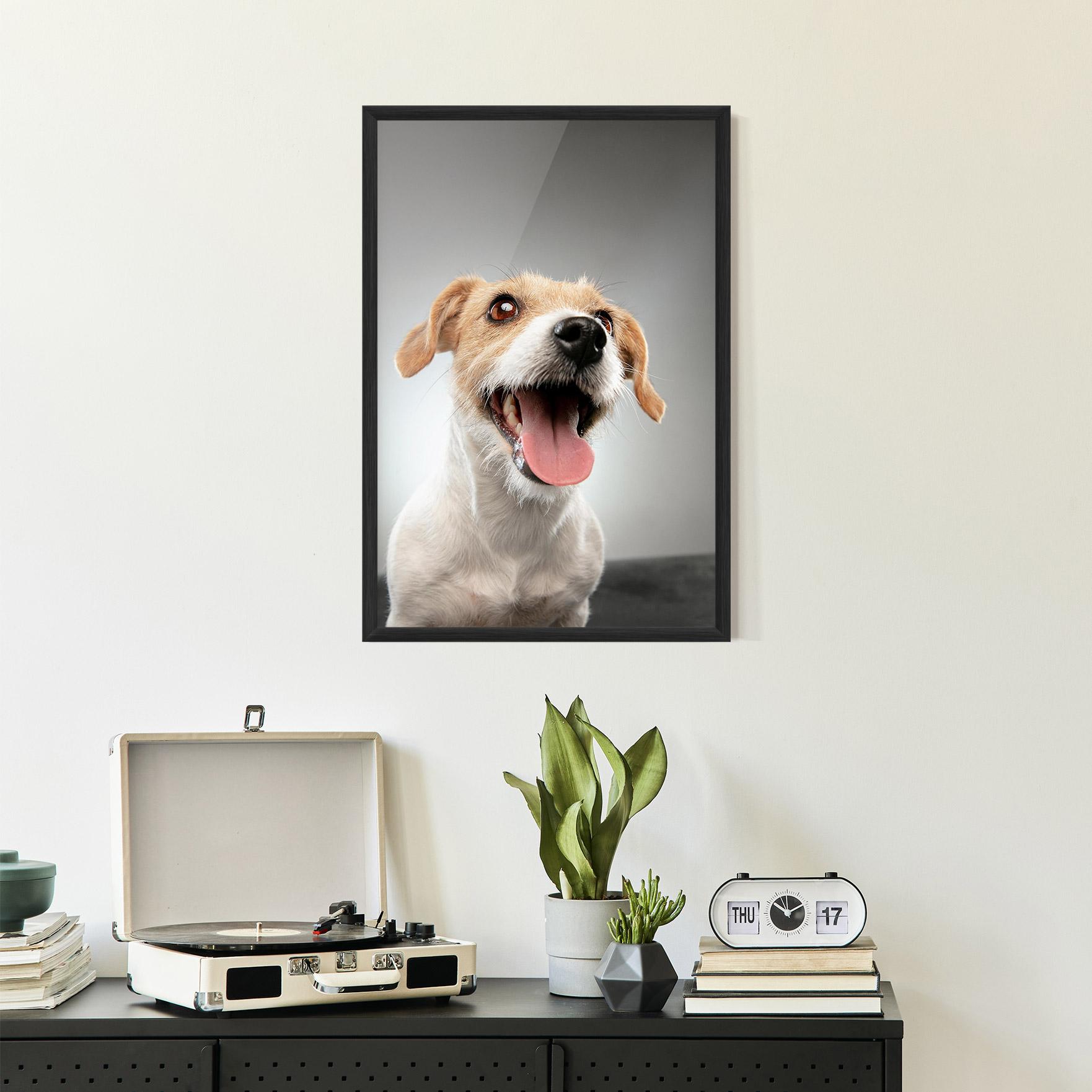 Plakat w Ramie Jack Russell Terrier mockup 2
