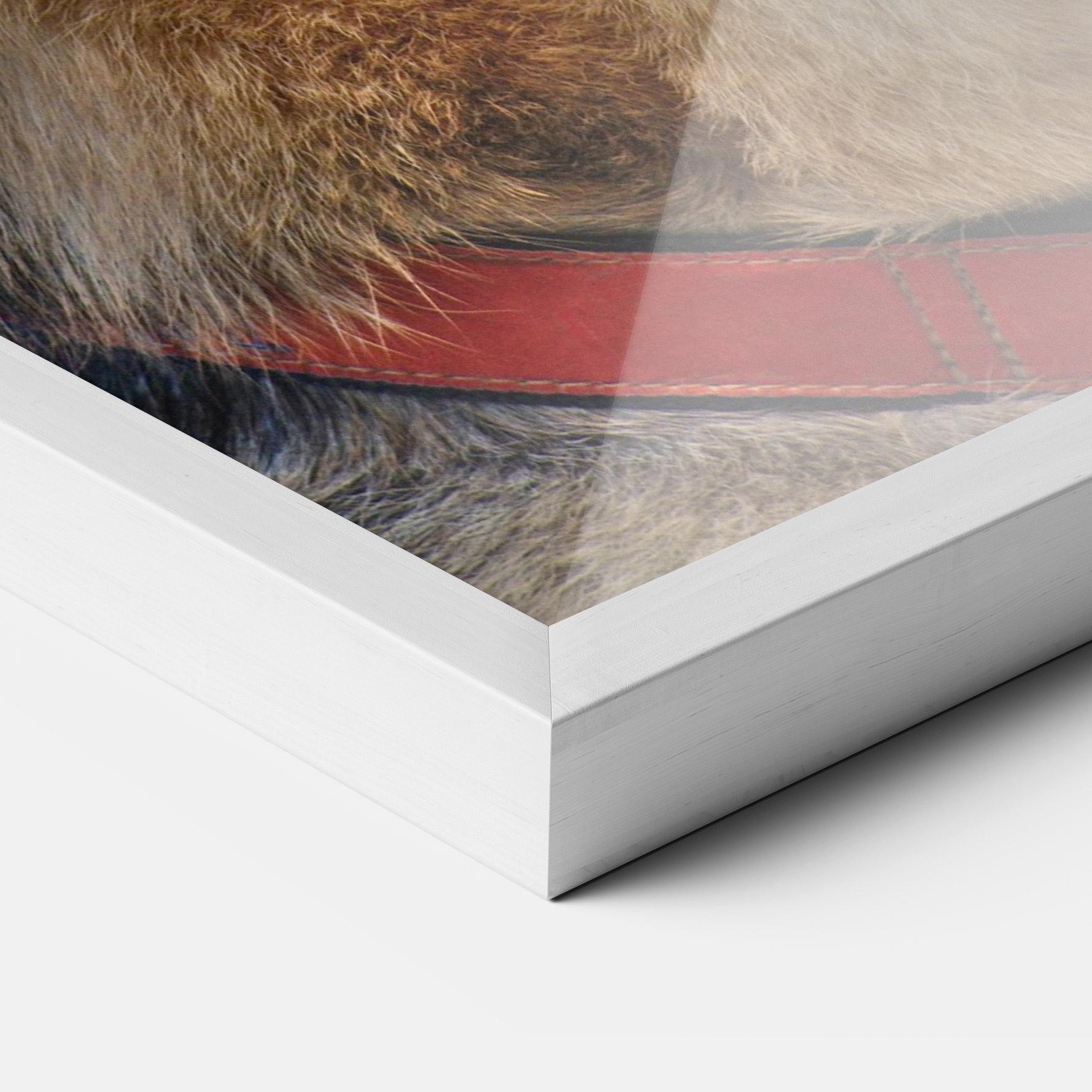 Plakat w Ramie German Shepherd mockup 3