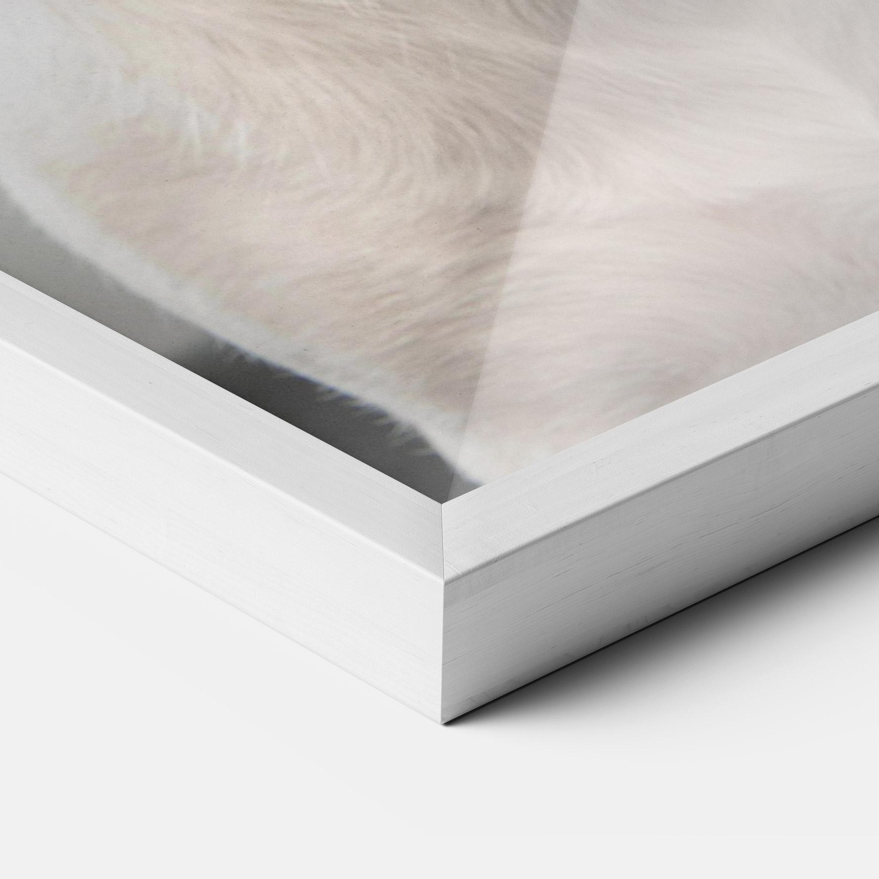 Plakat w Ramie Jack Russell Terrier mockup 3