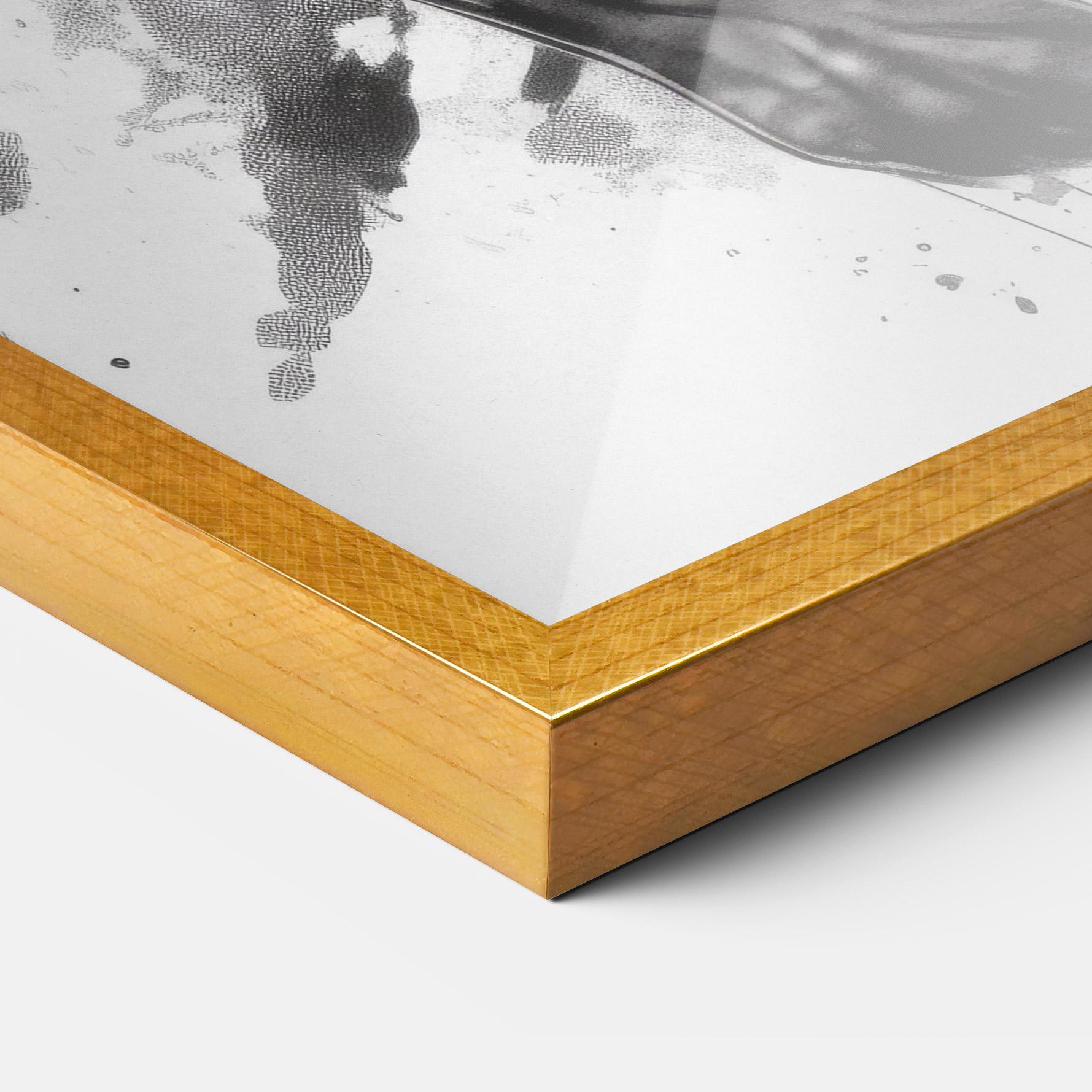 Plakat w Ramie Angry Dog Jump mockup 3