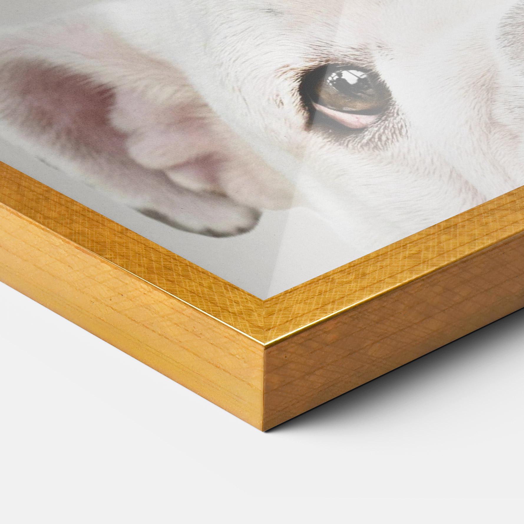 Plakat w Ramie Bulldog Eyes mockup 3