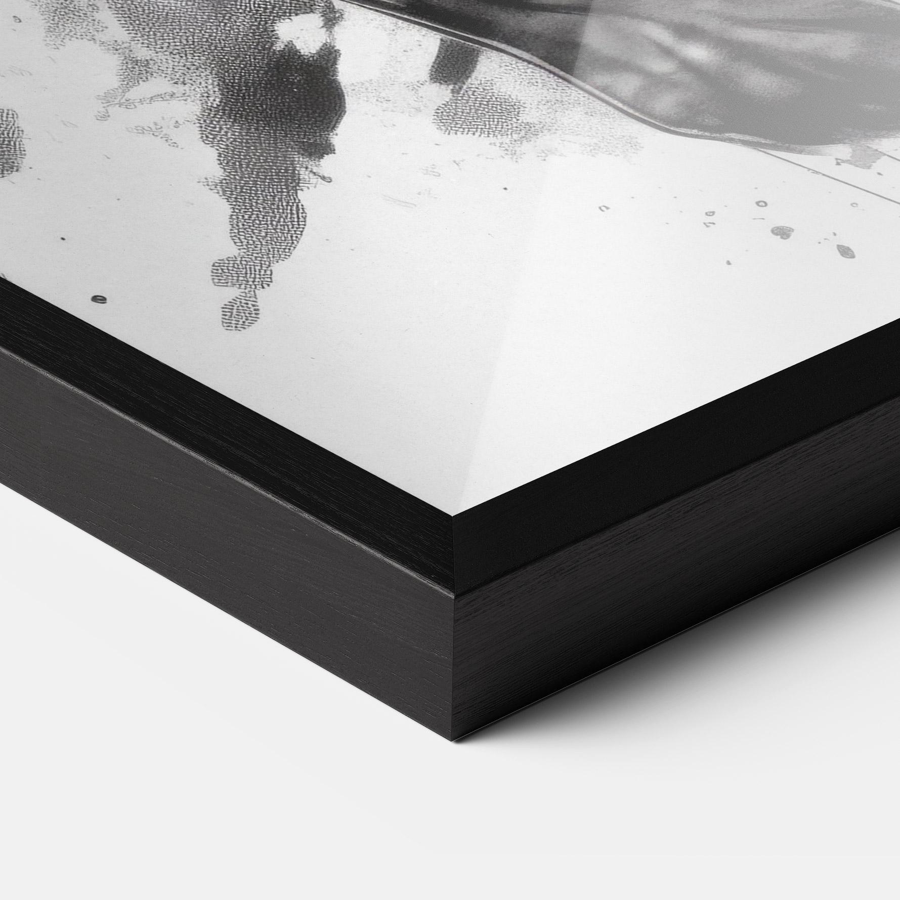 Plakat w Ramie Angry Dog Jump mockup 3