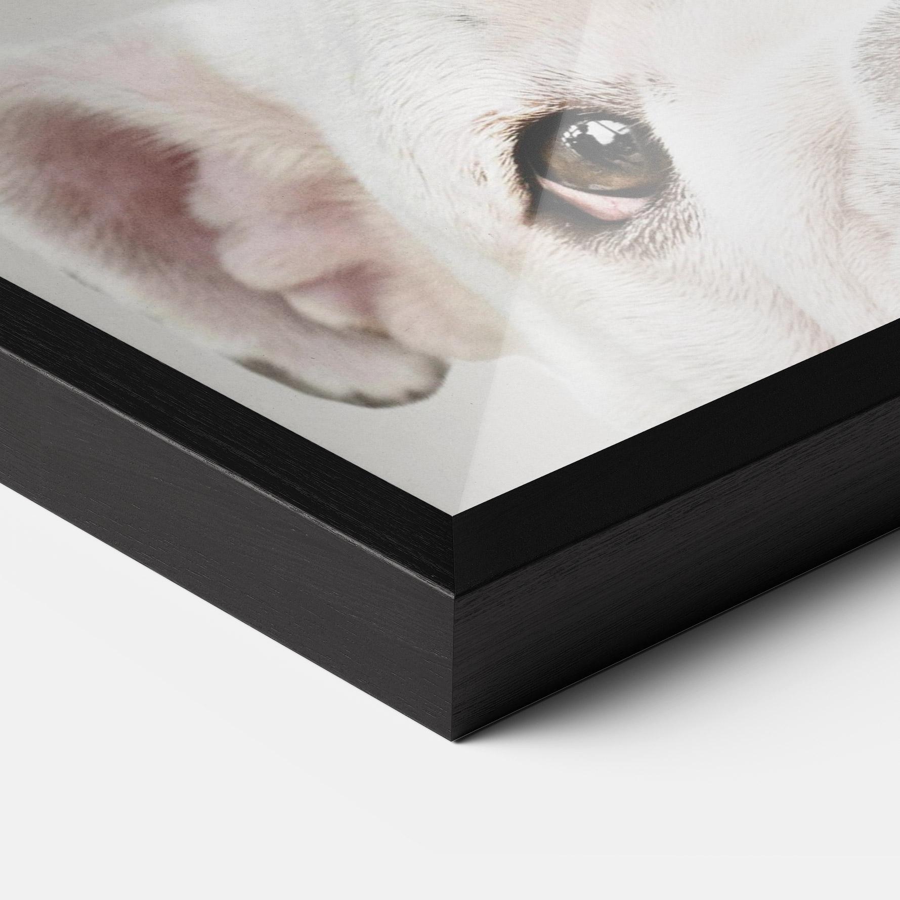 Plakat w Ramie Bulldog Eyes mockup 3