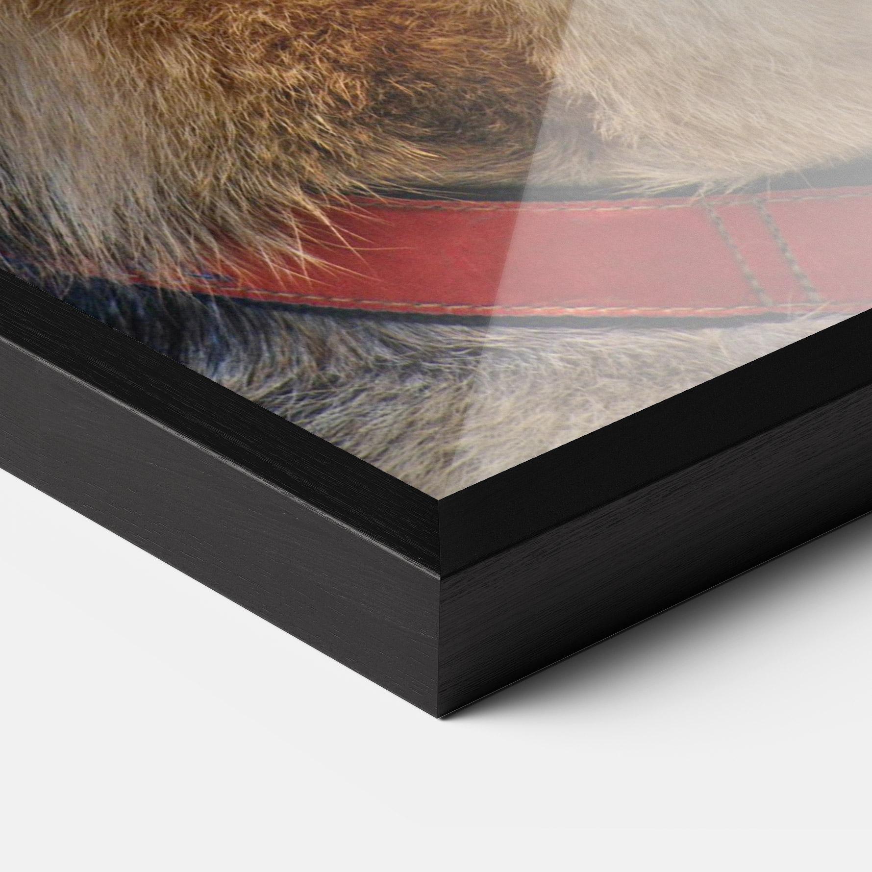 Plakat w Ramie German Shepherd mockup 3