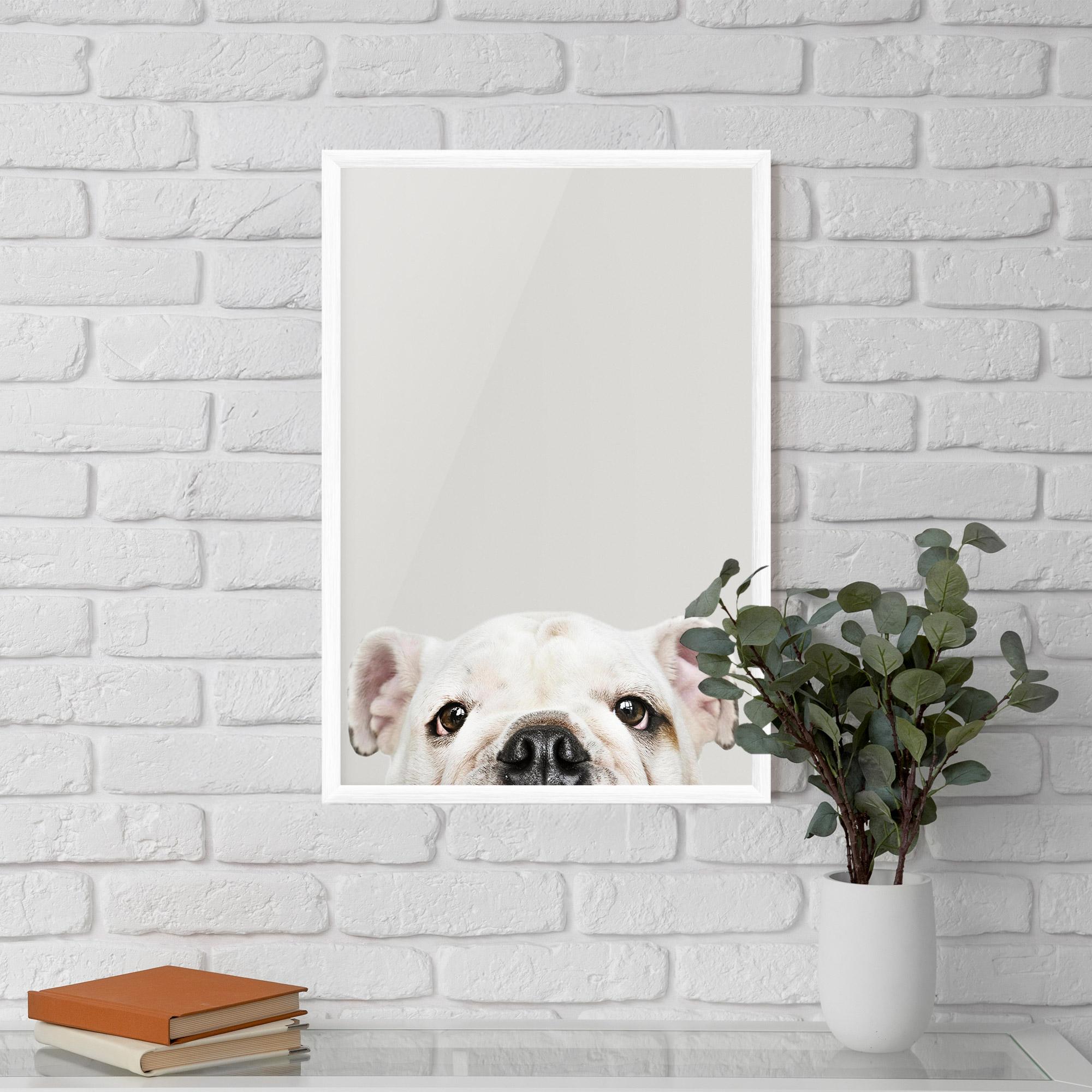 Plakat w Ramie Bulldog Eyes mockup 5