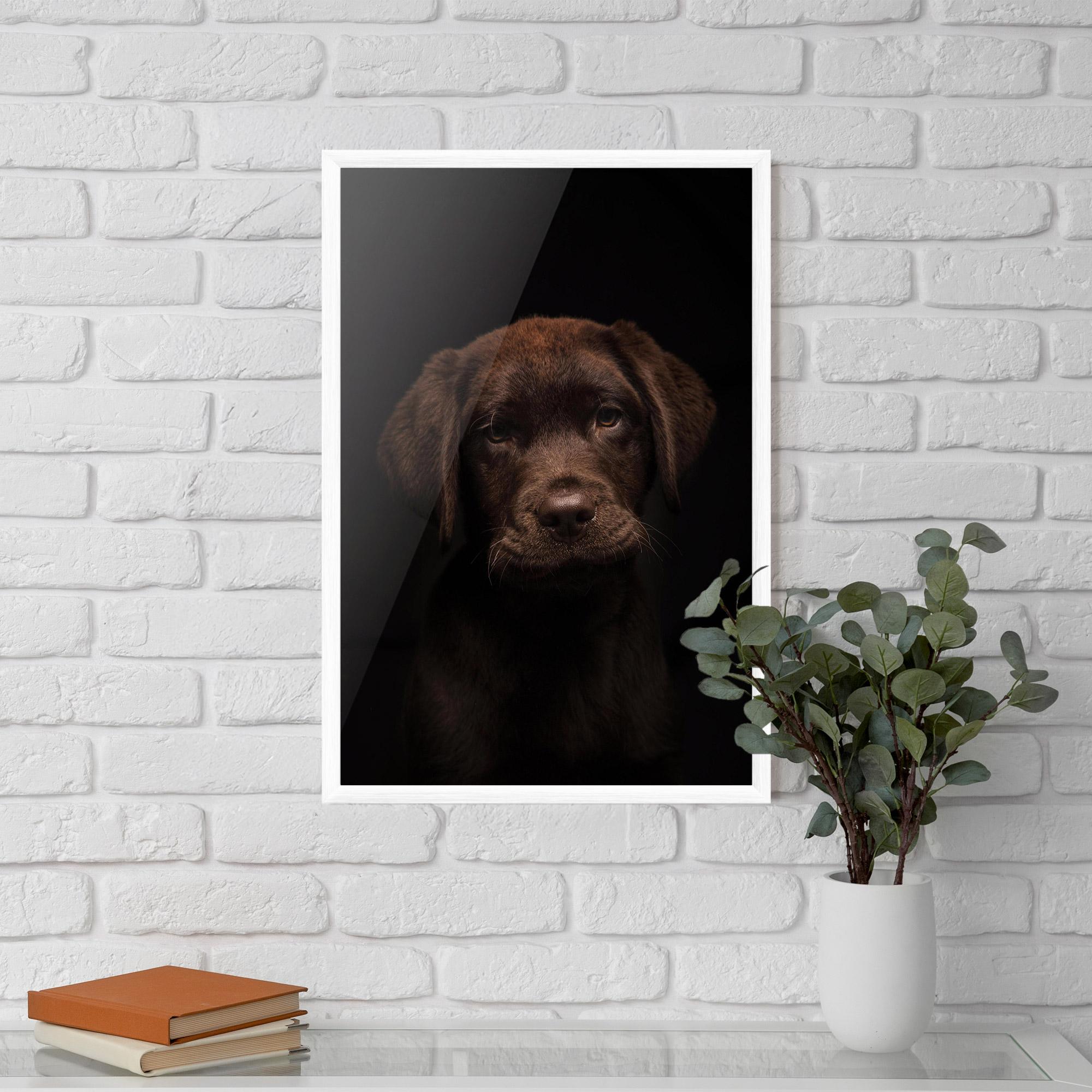 Plakat w Ramie Chocolate Labrador mockup 5