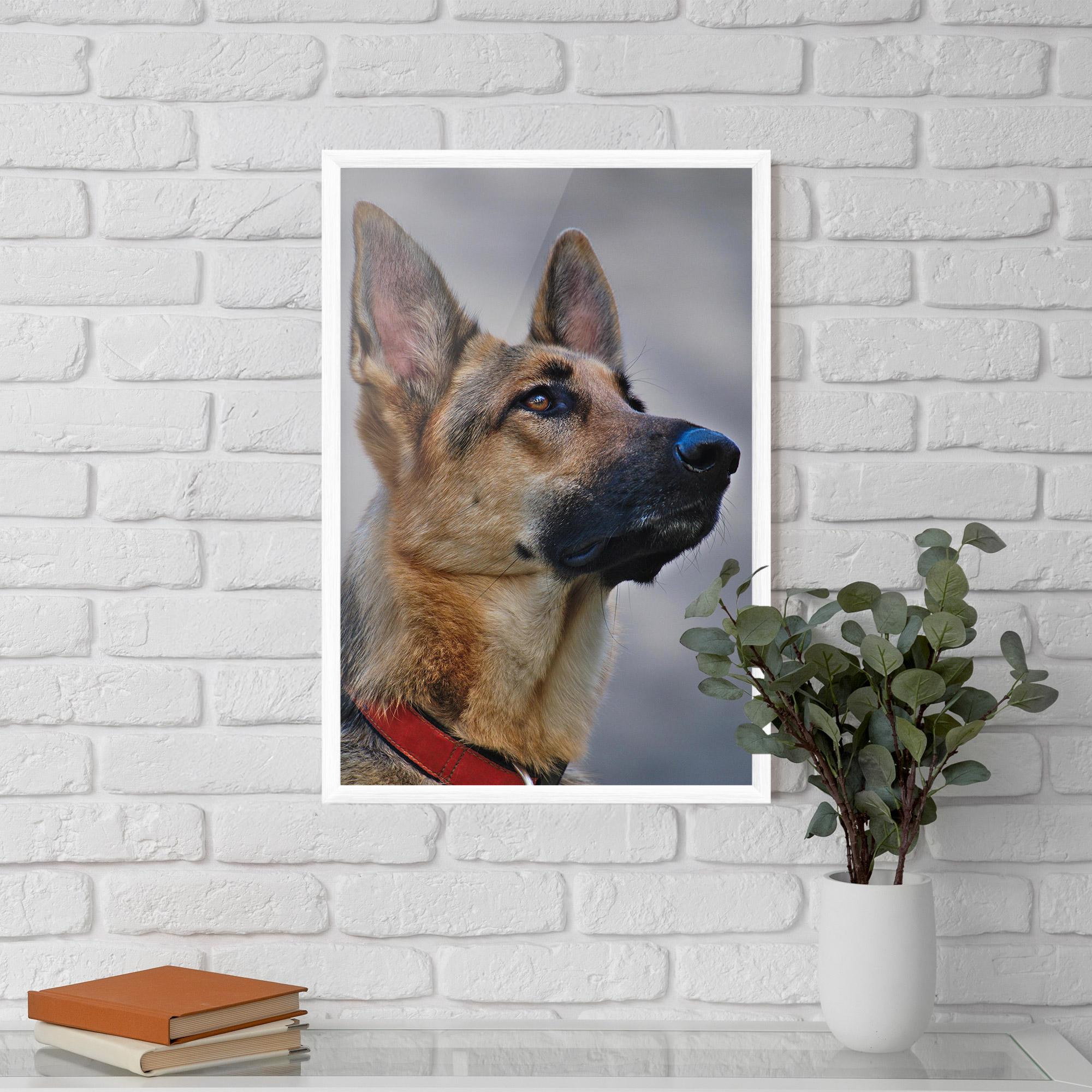 Plakat w Ramie German Shepherd mockup 5