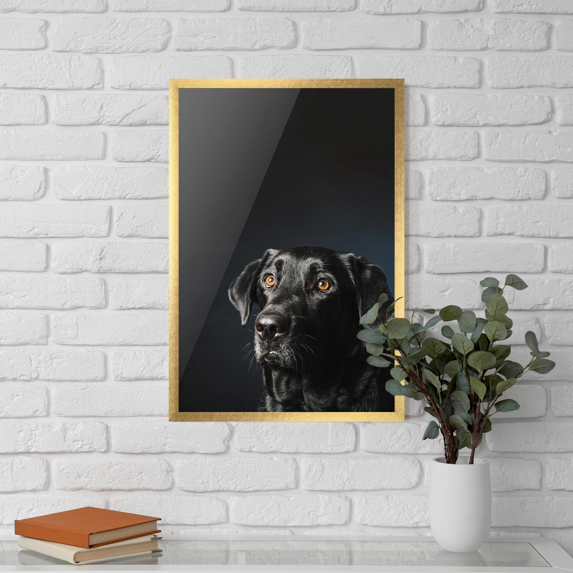 Plakat w Ramie Brown Eyes Dog mockup 5