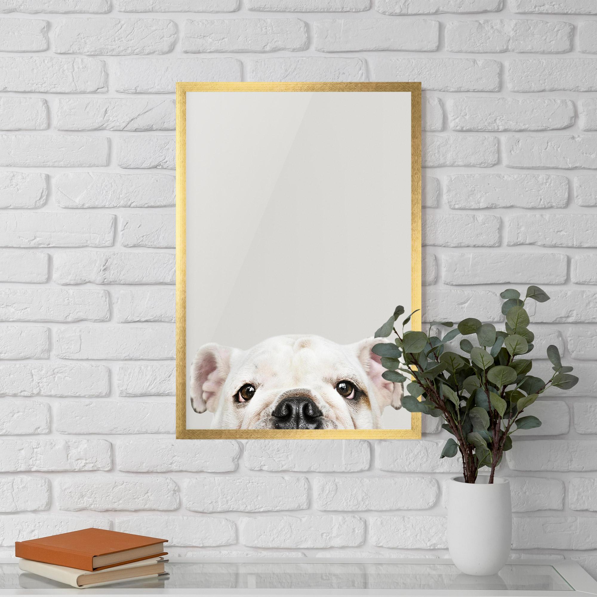Plakat w Ramie Bulldog Eyes mockup 5