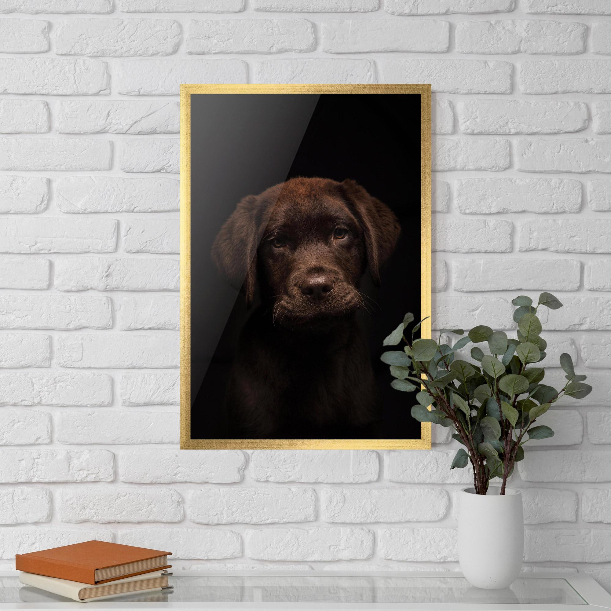 Plakat w Ramie Chocolate Labrador mockup 5