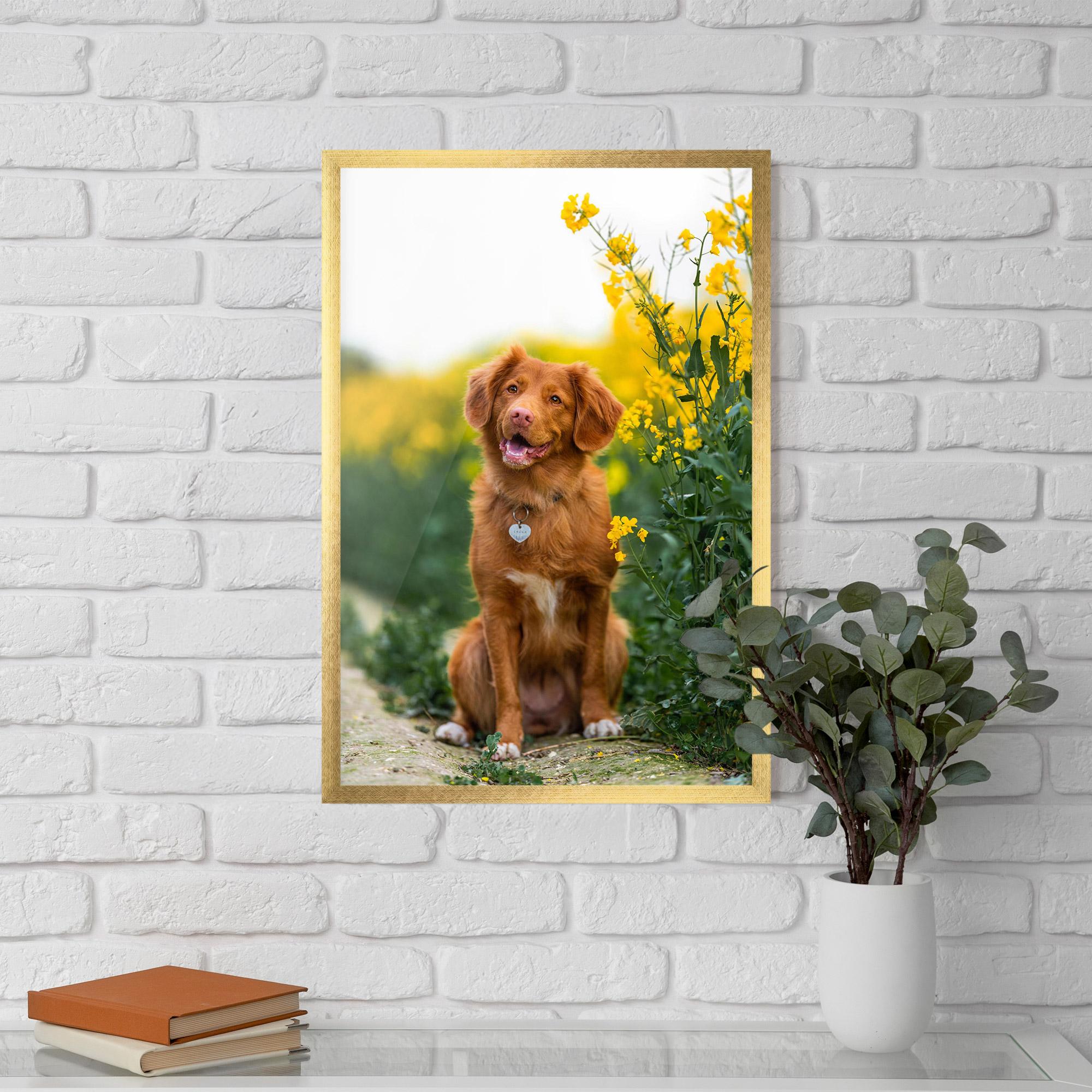 Plakat w Ramie Dog Yellow Flowers mockup 5